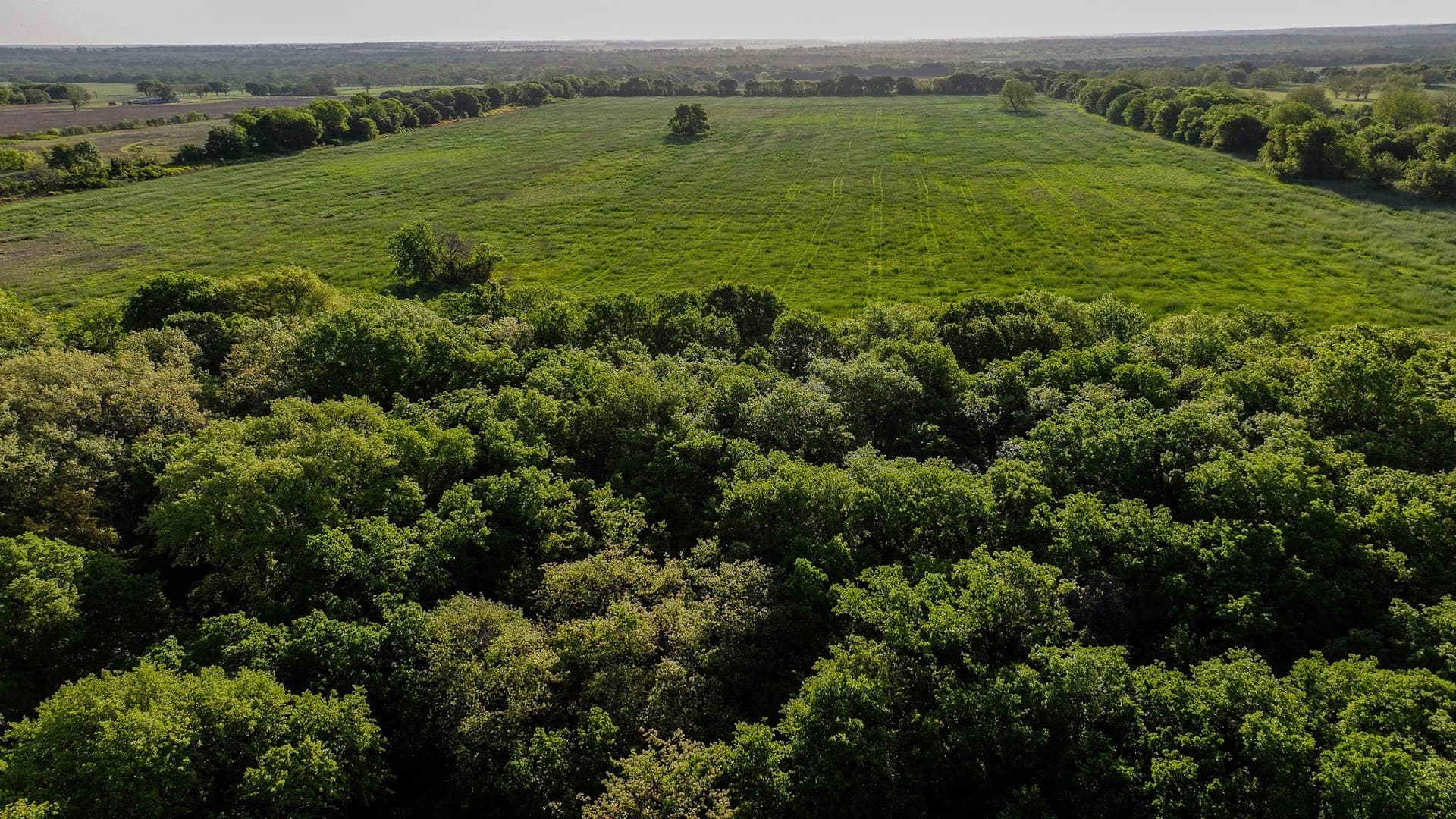 110 acres in Montague County - photo 18