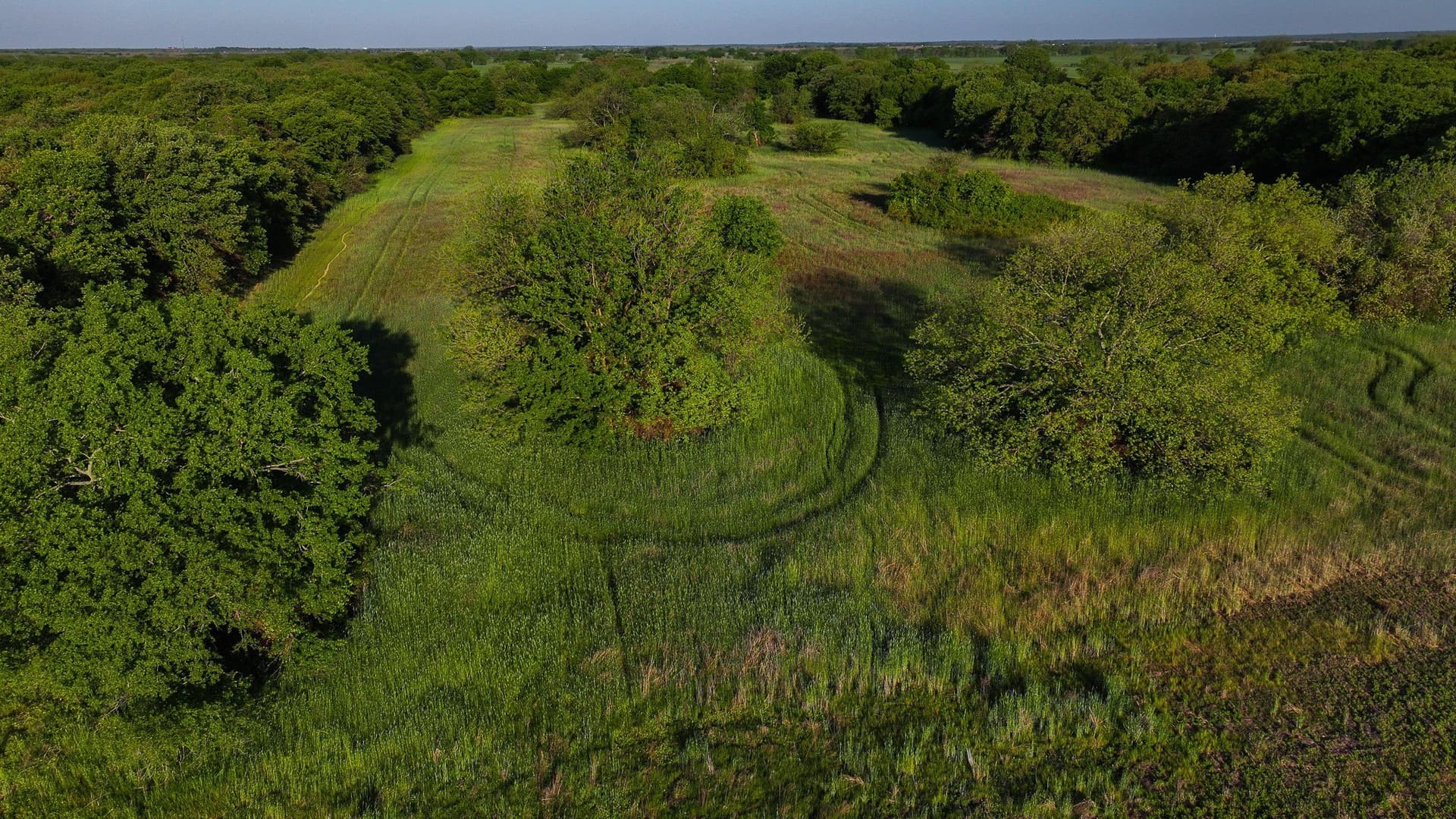 110 acres in Montague County - photo 24