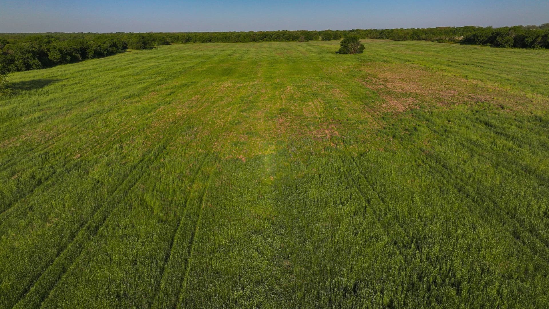 110 acres in Montague County - photo 15