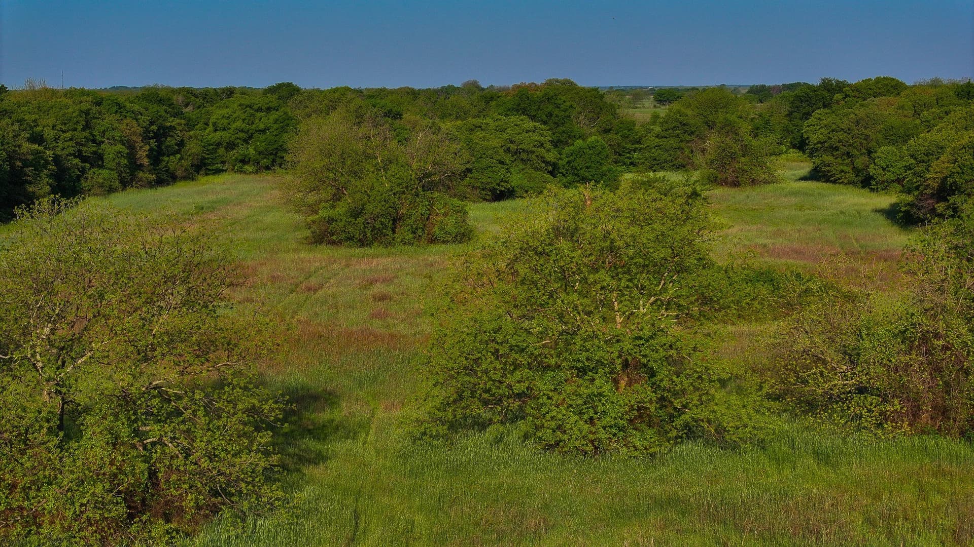 110 acres in Montague County - photo 9