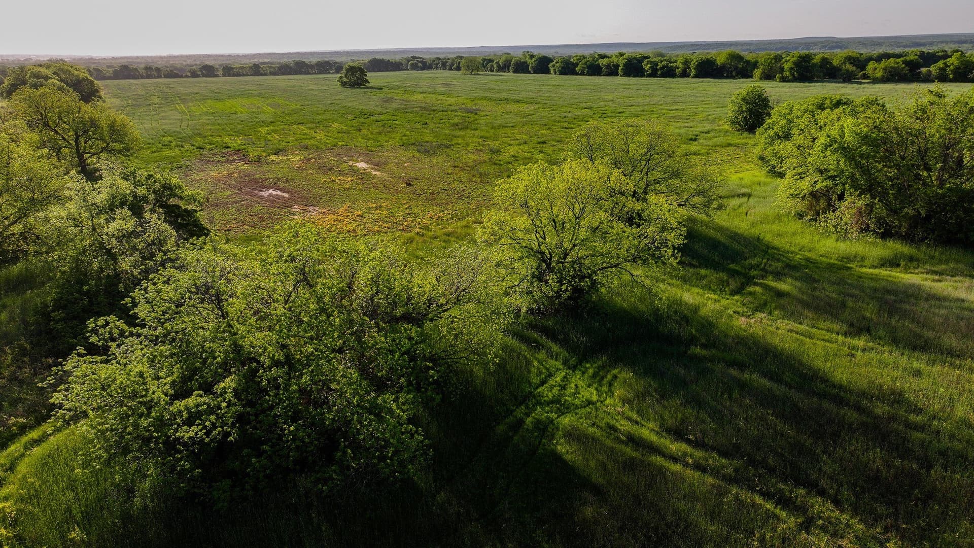 110 acres in Montague County gallery image 2