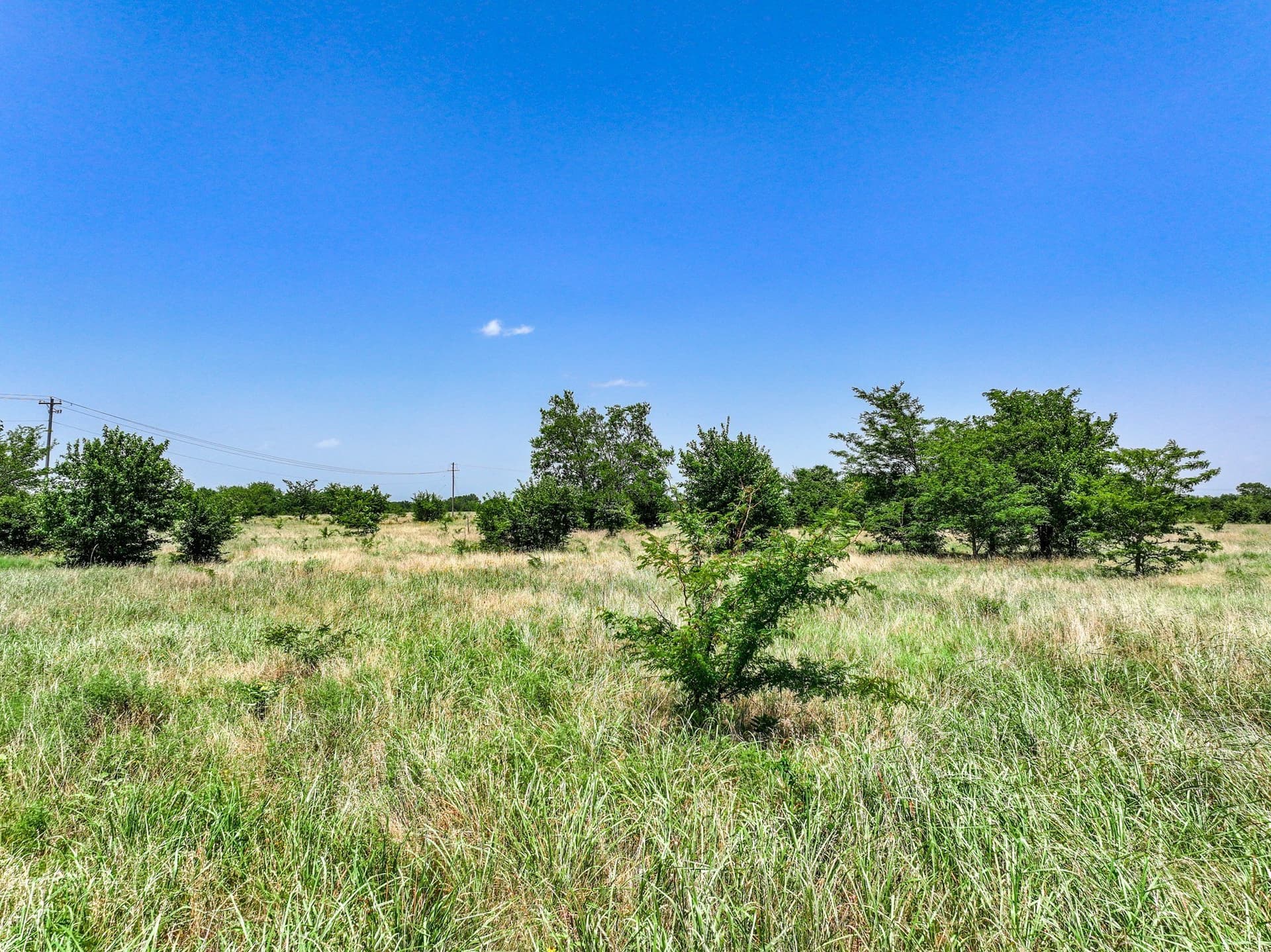 41 acres in Franklin (TX) County - photo 14