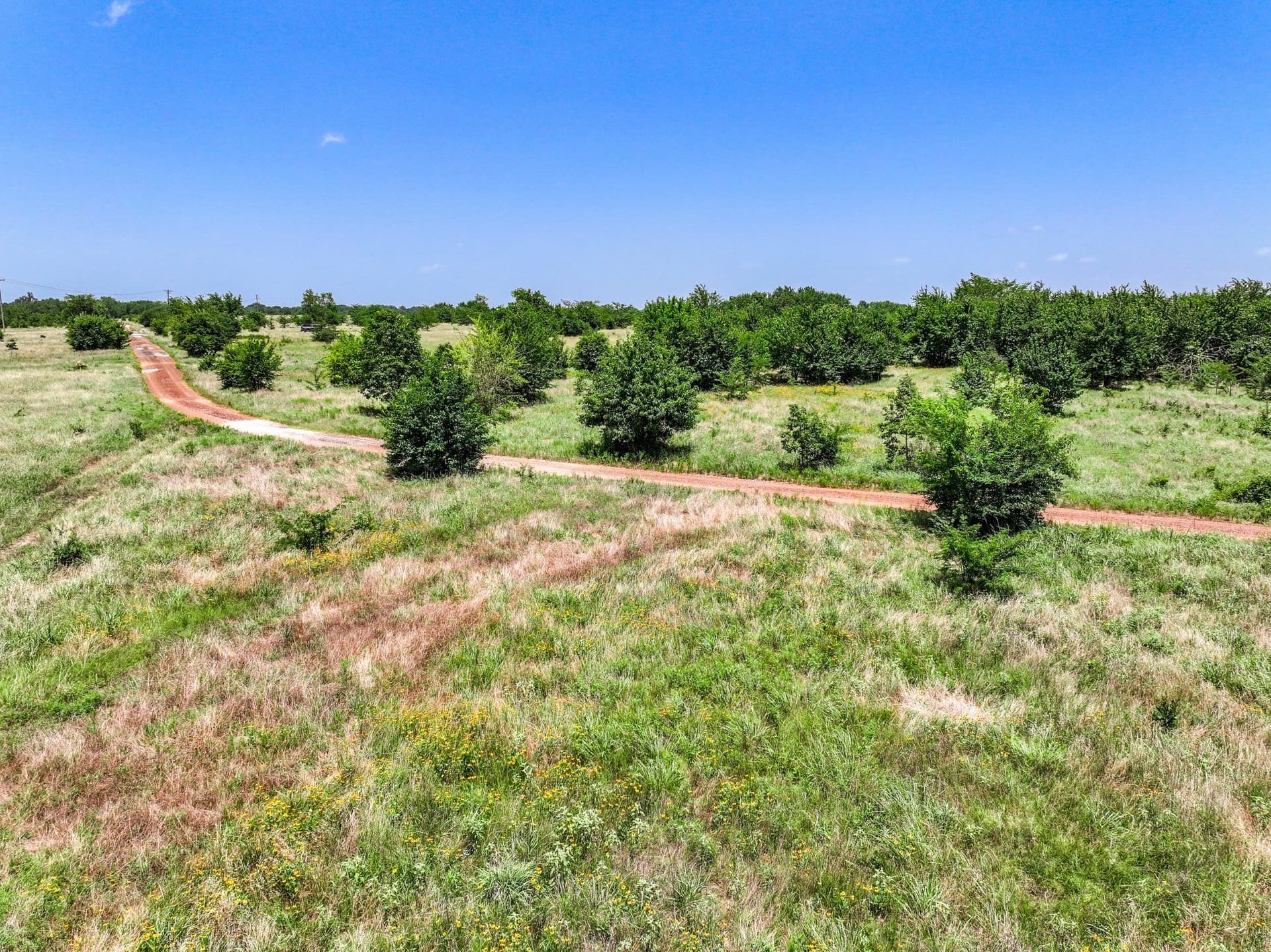 41 acres in Franklin (TX) County - photo 8