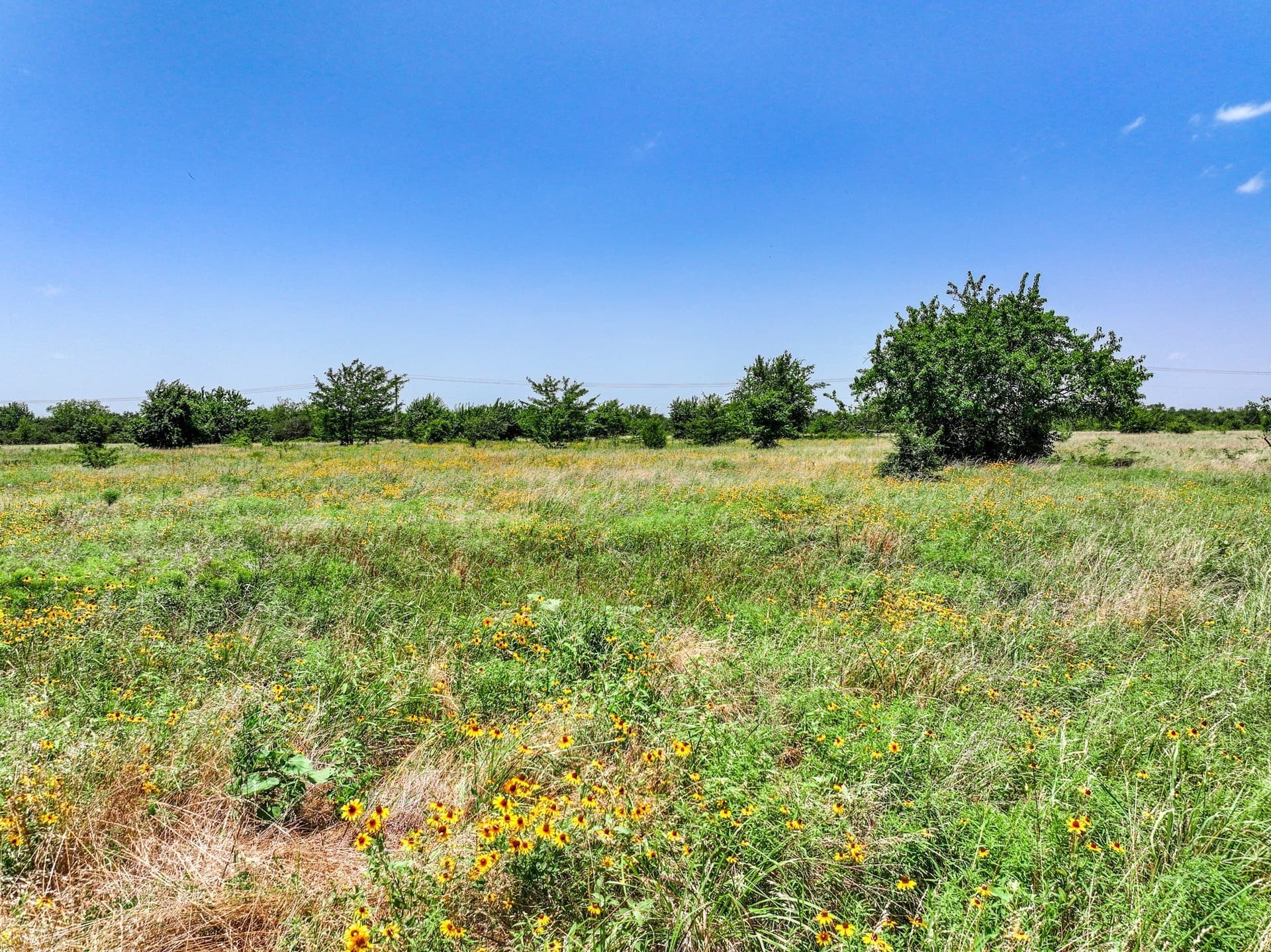 41 acres in Franklin (TX) County - photo 11
