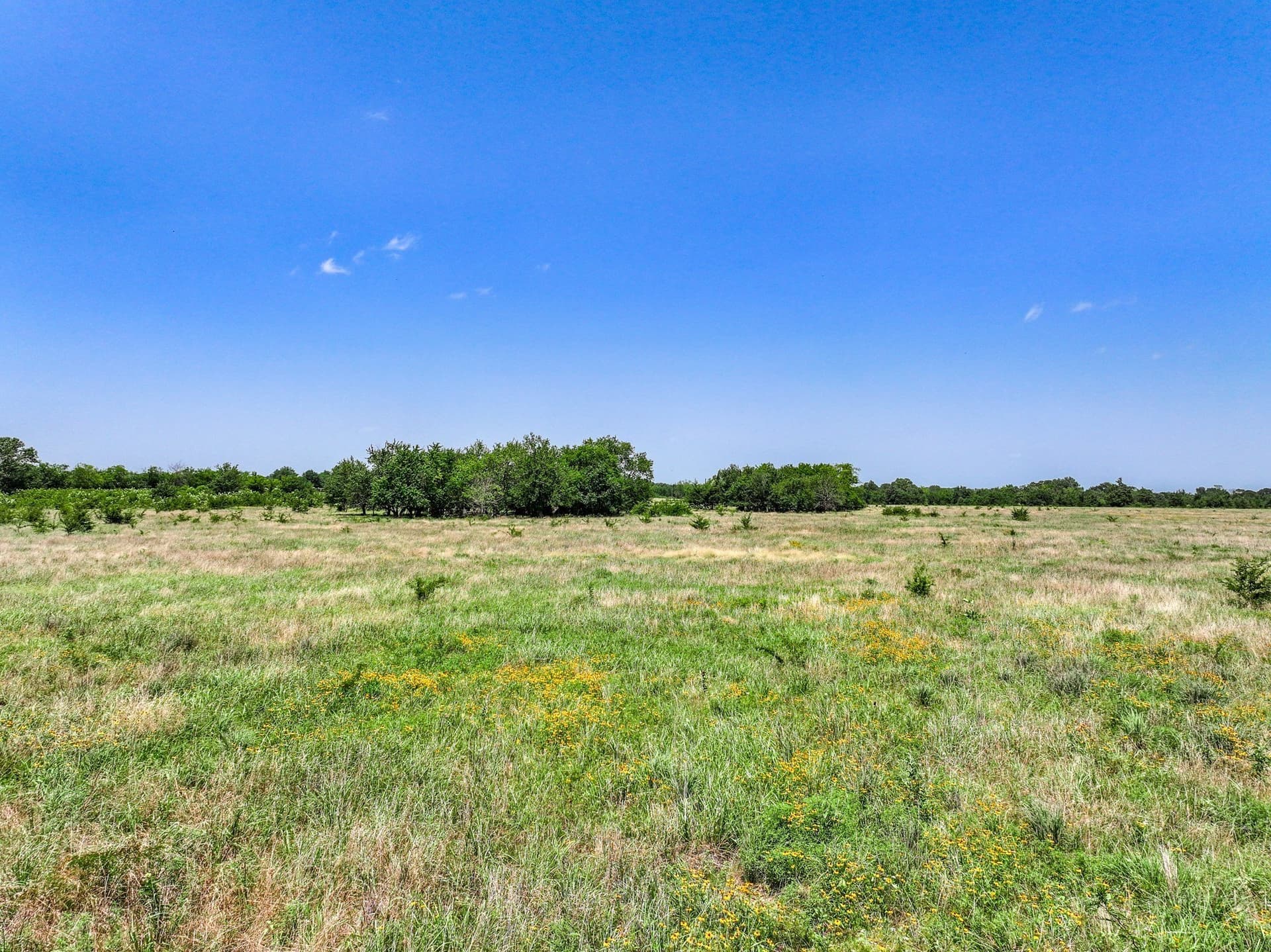 41 acres in Franklin (TX) County - photo 16