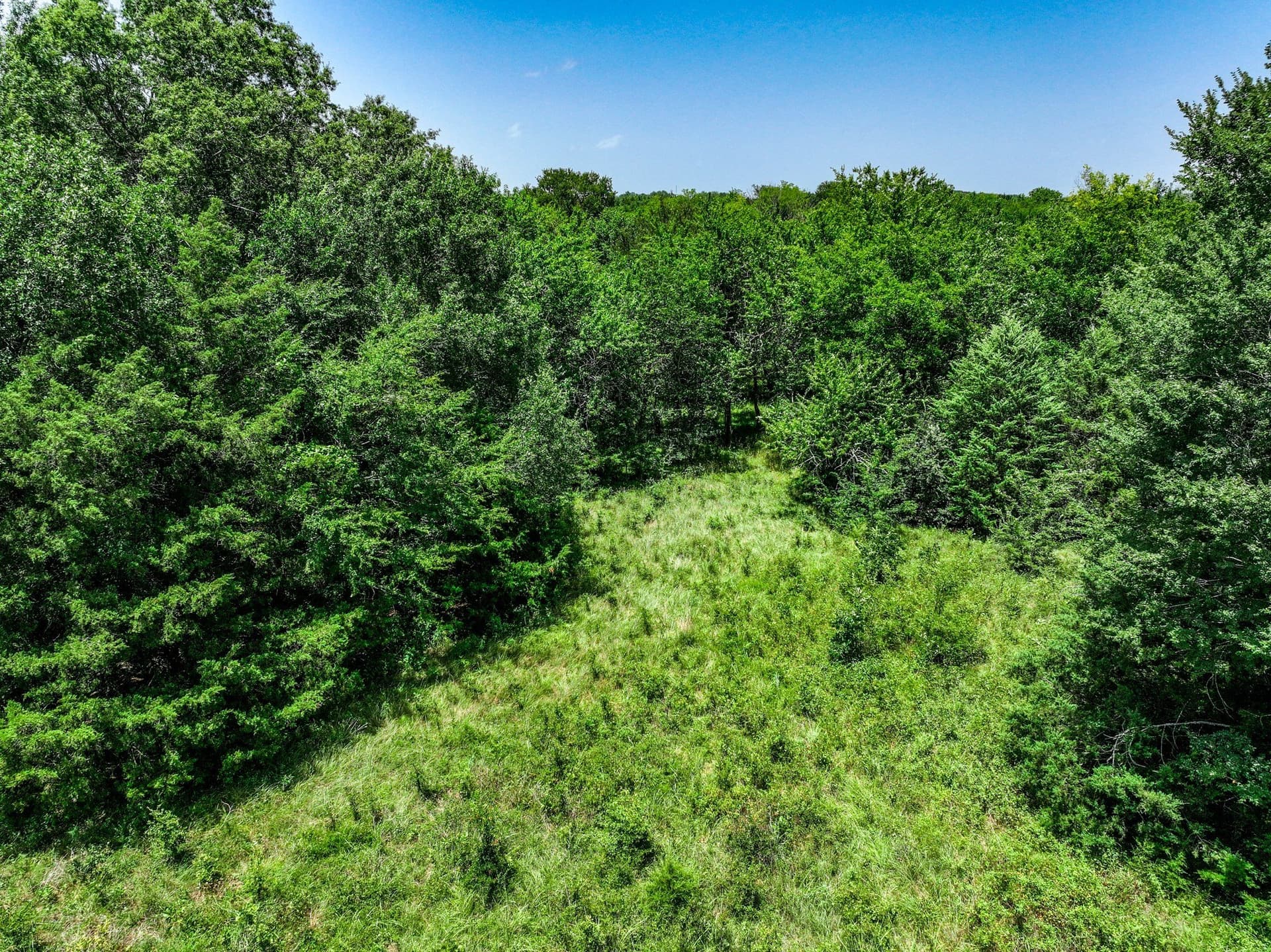 41 acres in Franklin (TX) County - photo 31