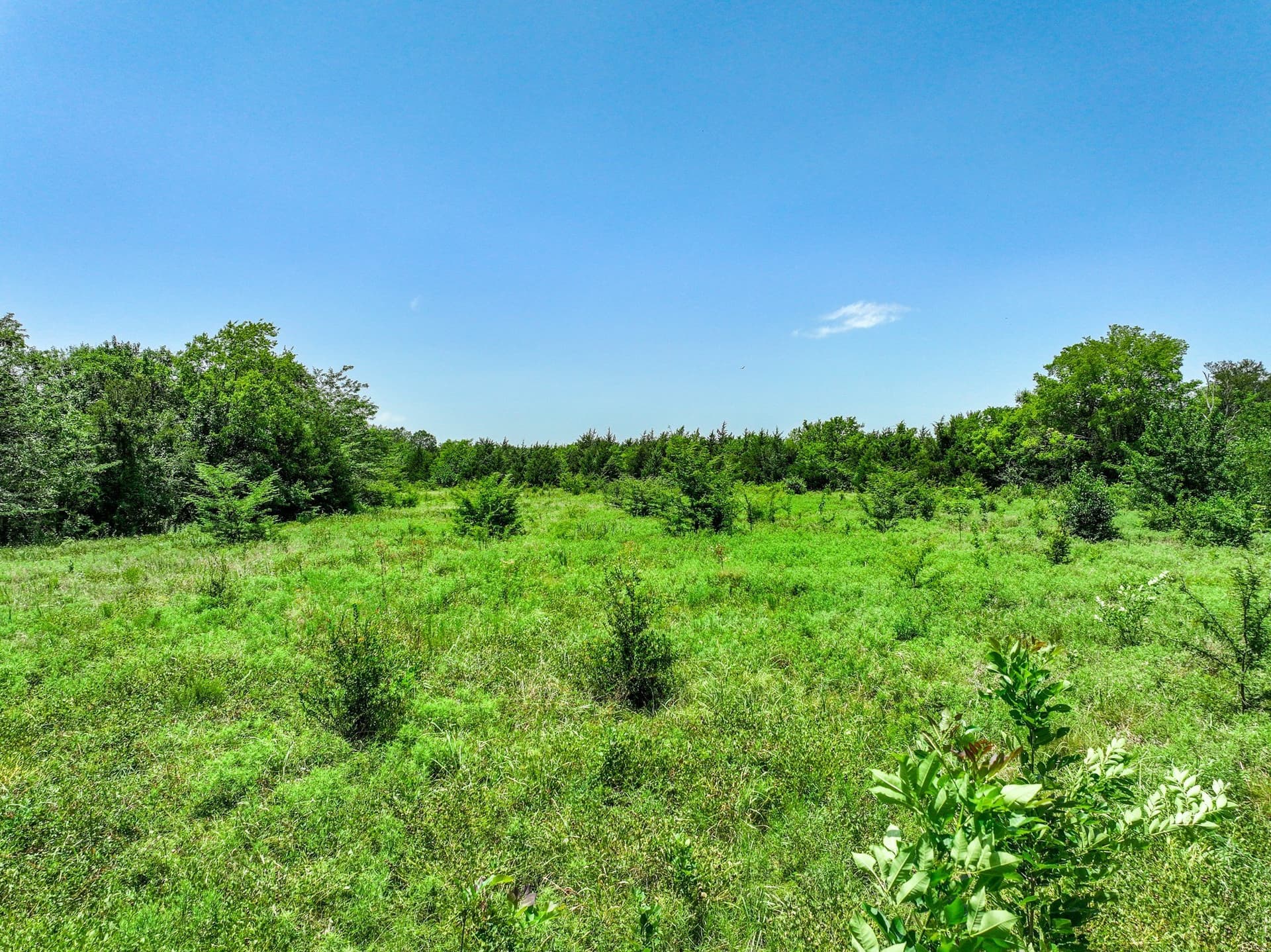 41 acres in Franklin (TX) County - photo 35