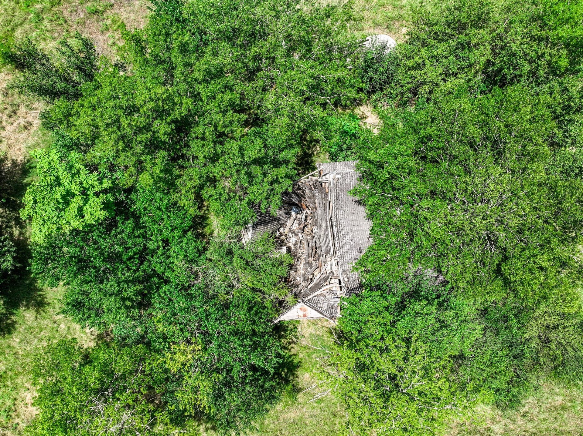 41 acres in Franklin (TX) County - photo 19