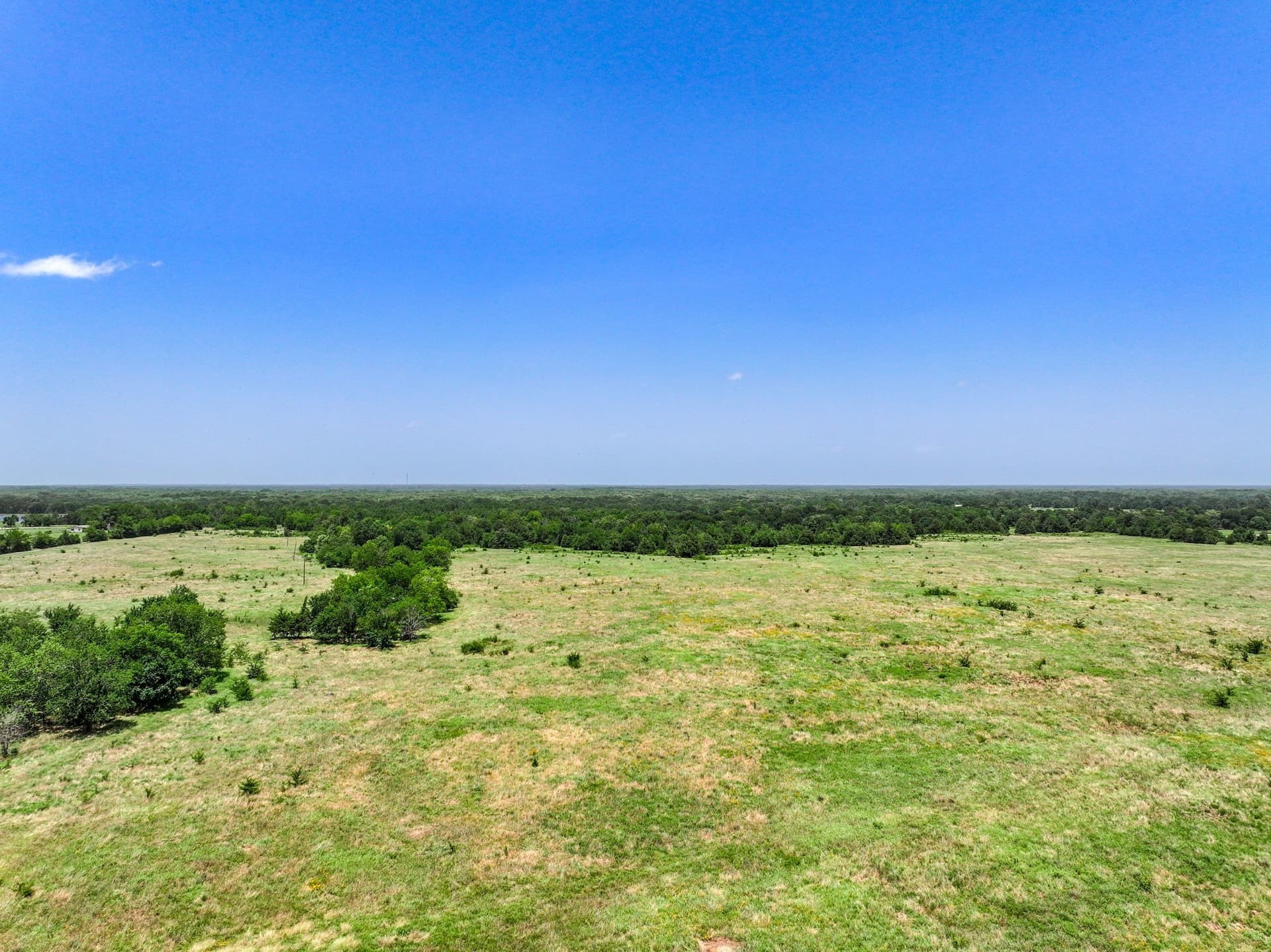 41 acres in Franklin (TX) County - photo 18