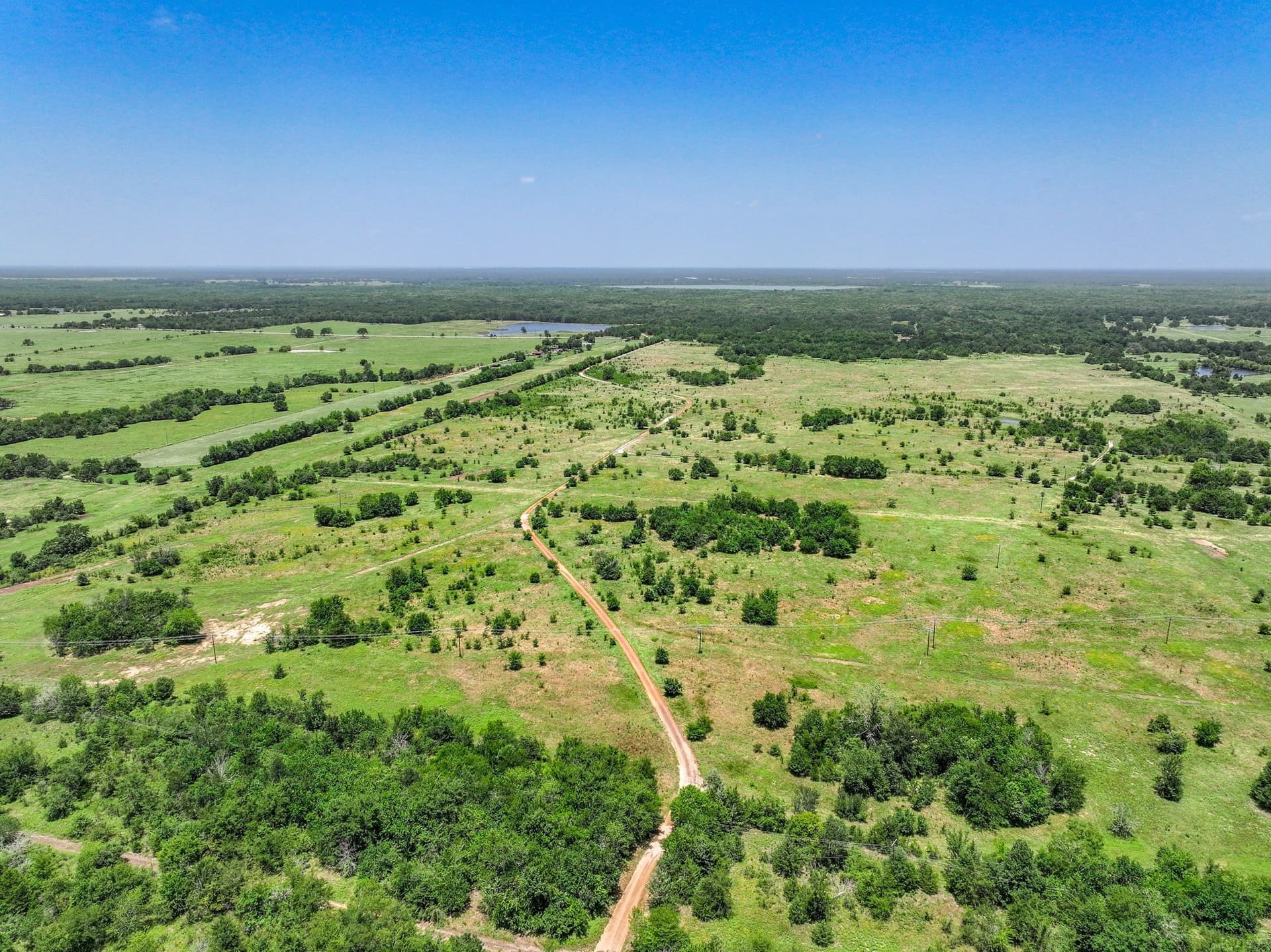 41 acres in Franklin (TX) County gallery image 4