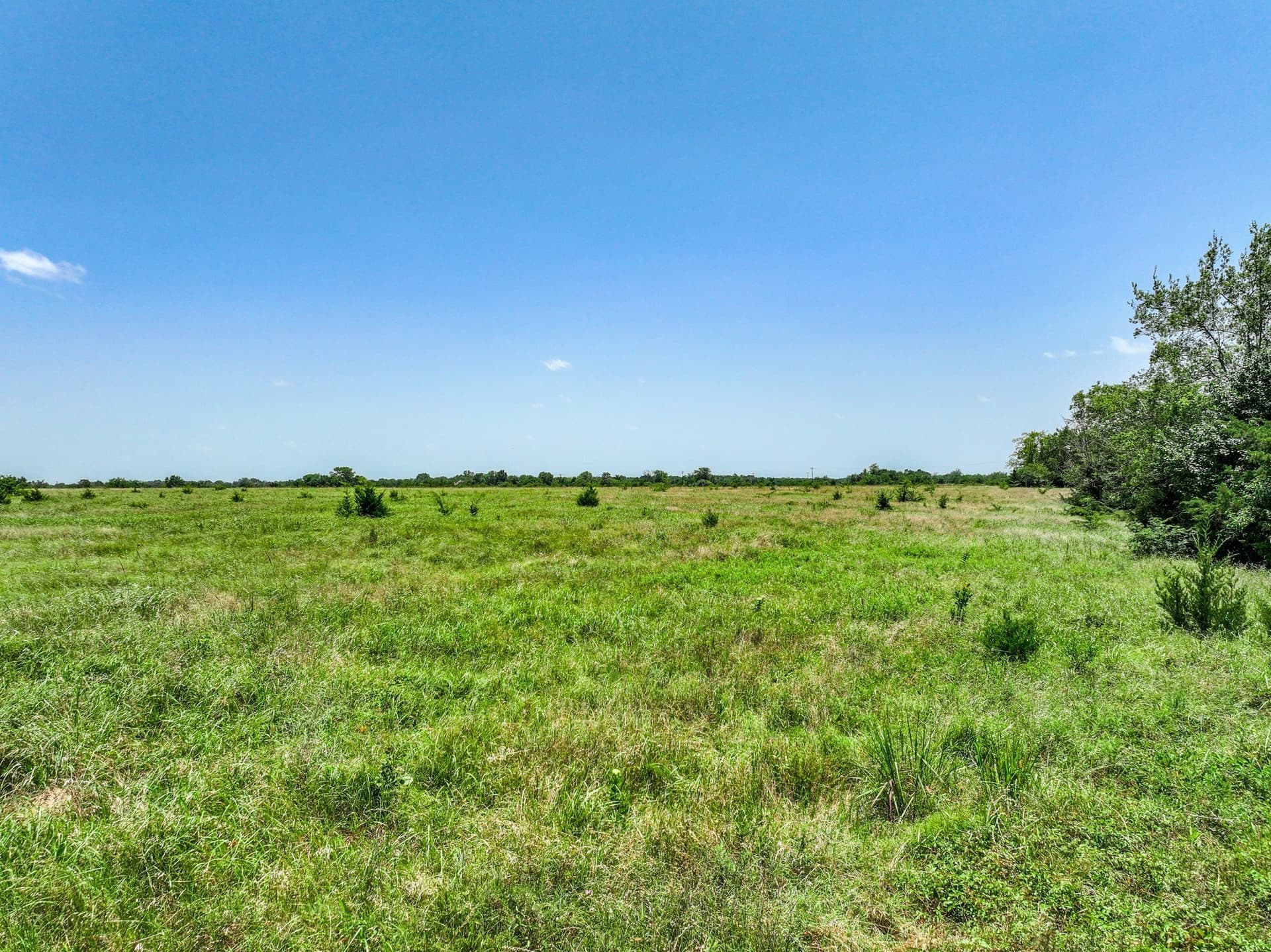 41 acres in Franklin (TX) County - photo 25