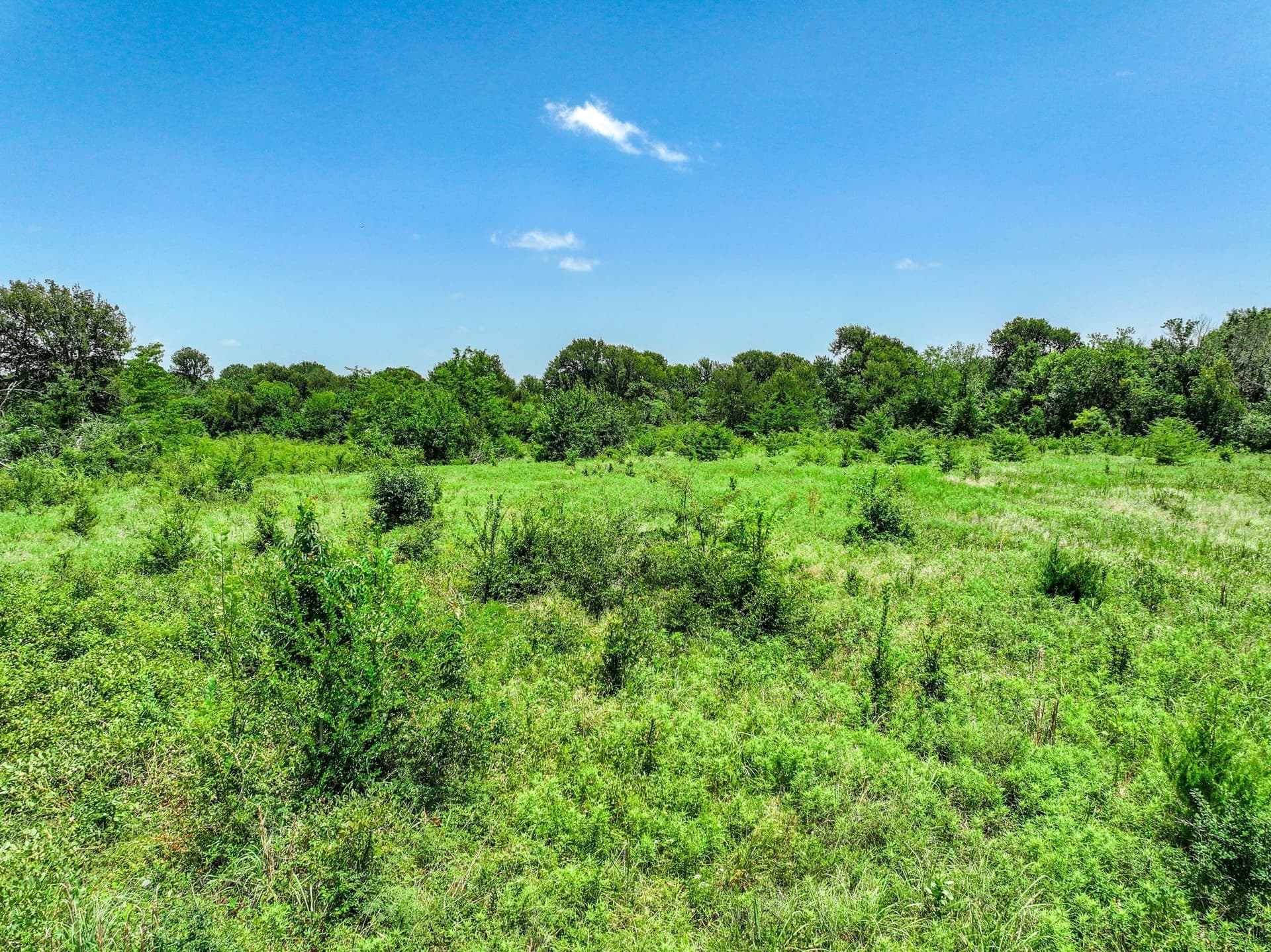 41 acres in Franklin (TX) County - photo 36