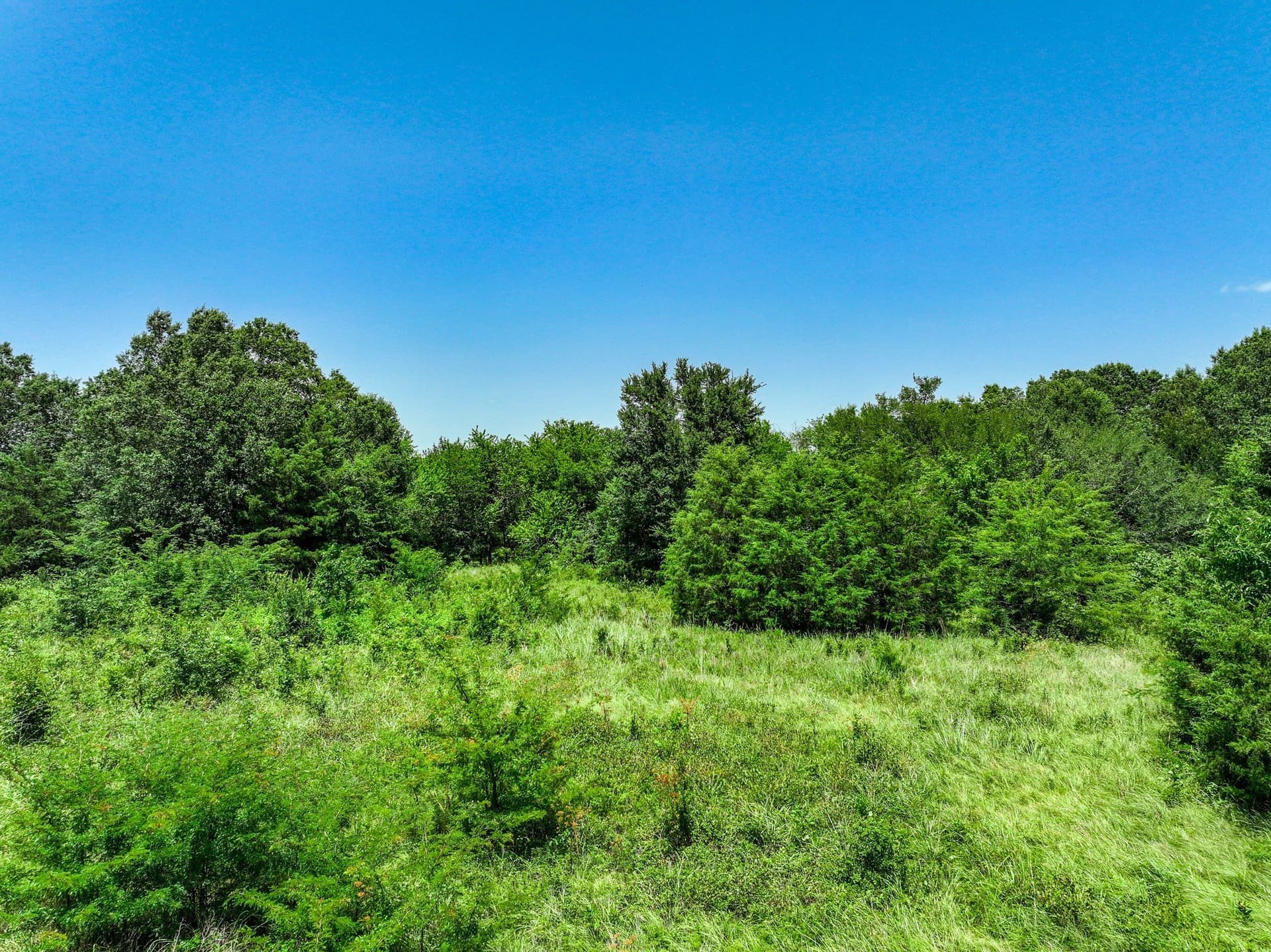 41 acres in Franklin (TX) County - photo 29