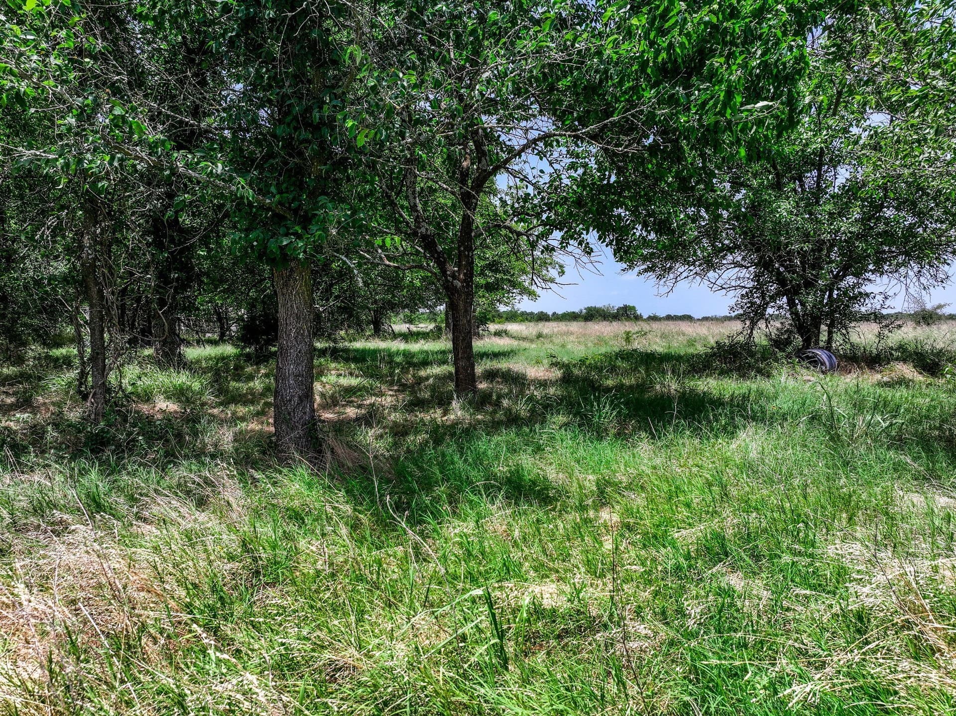 41 acres in Franklin (TX) County - photo 28