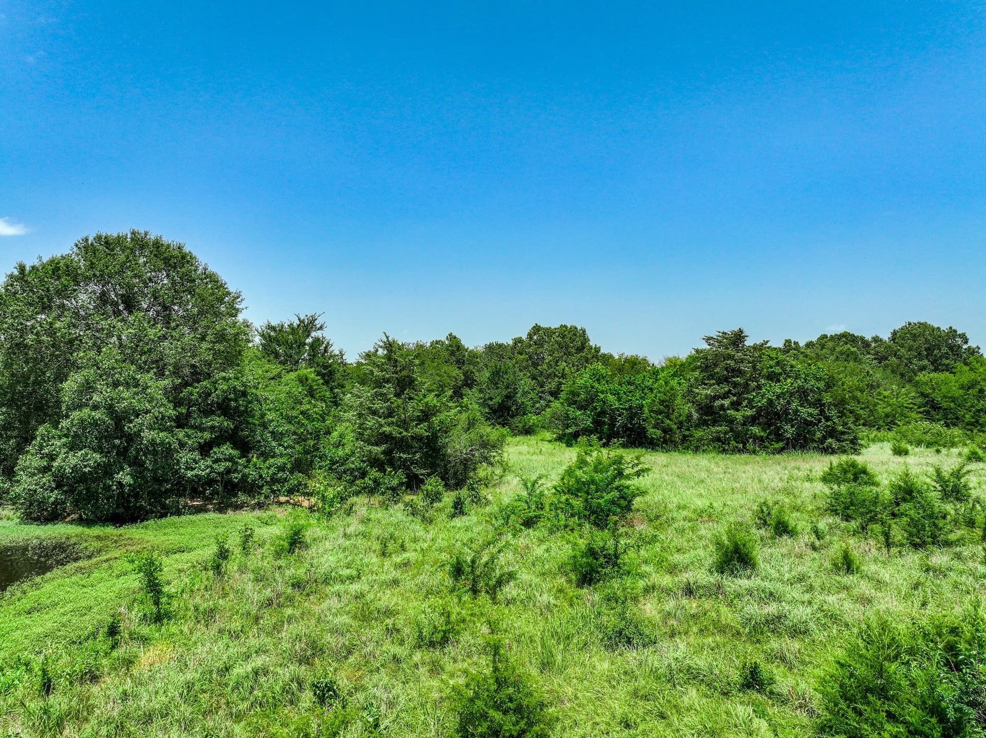 41 acres in Franklin (TX) County - photo 23