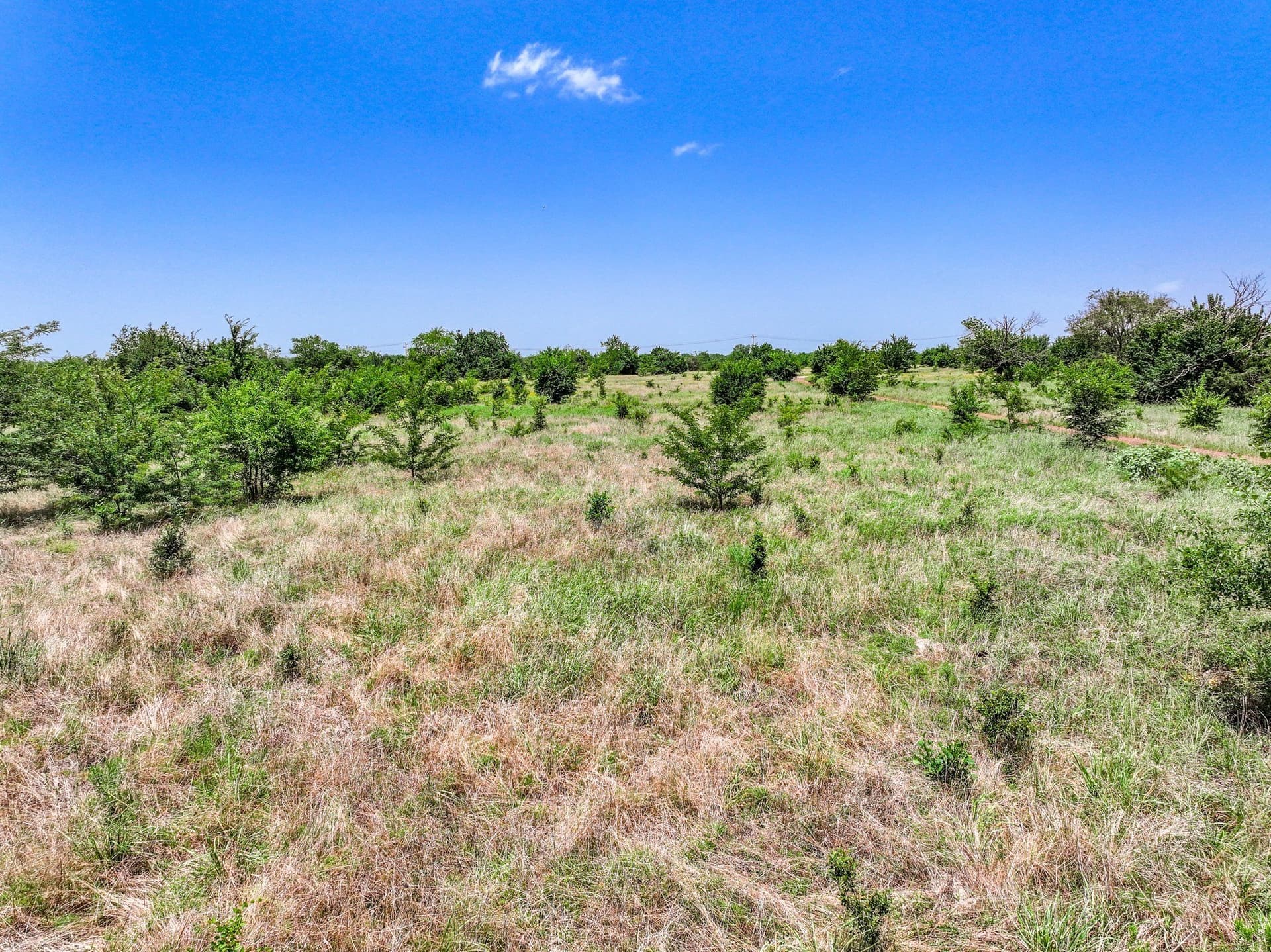 41 acres in Franklin (TX) County - photo 7
