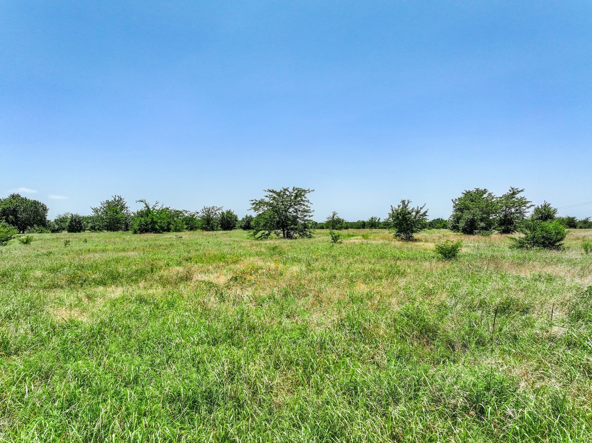 41 acres in Franklin (TX) County - photo 15