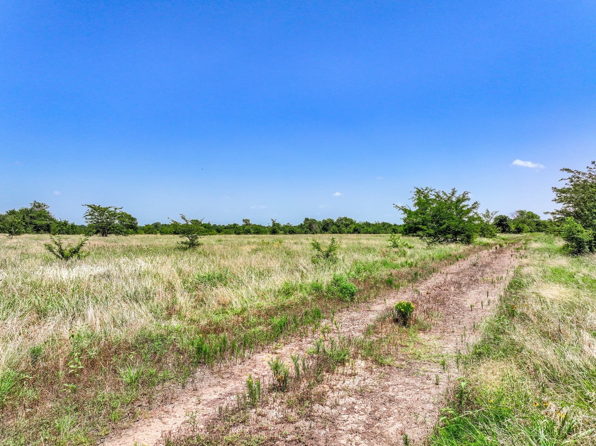 41 acres in Franklin (TX) County - photo 13