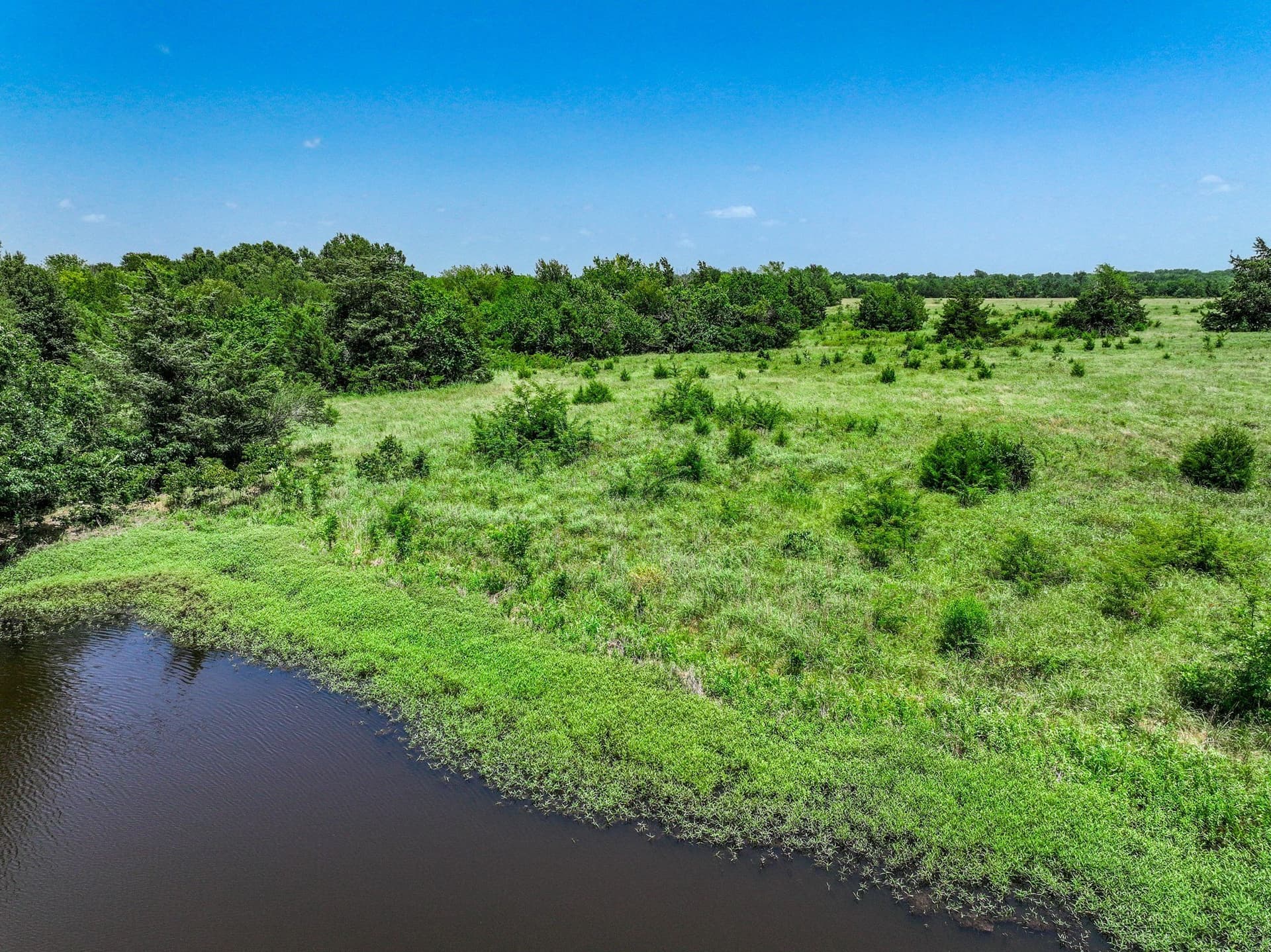 41 acres in Franklin (TX) County - photo 22