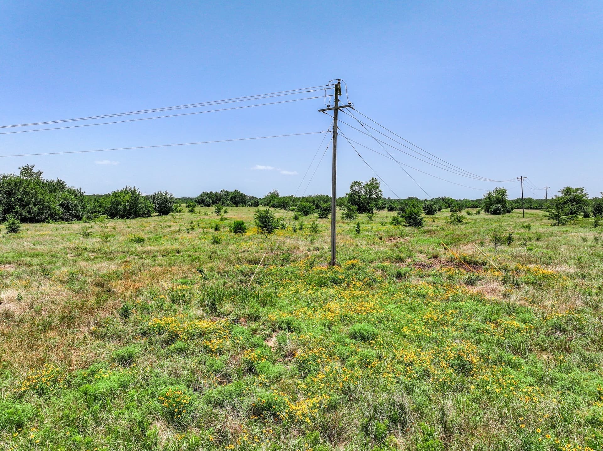 41 acres in Franklin (TX) County - photo 17