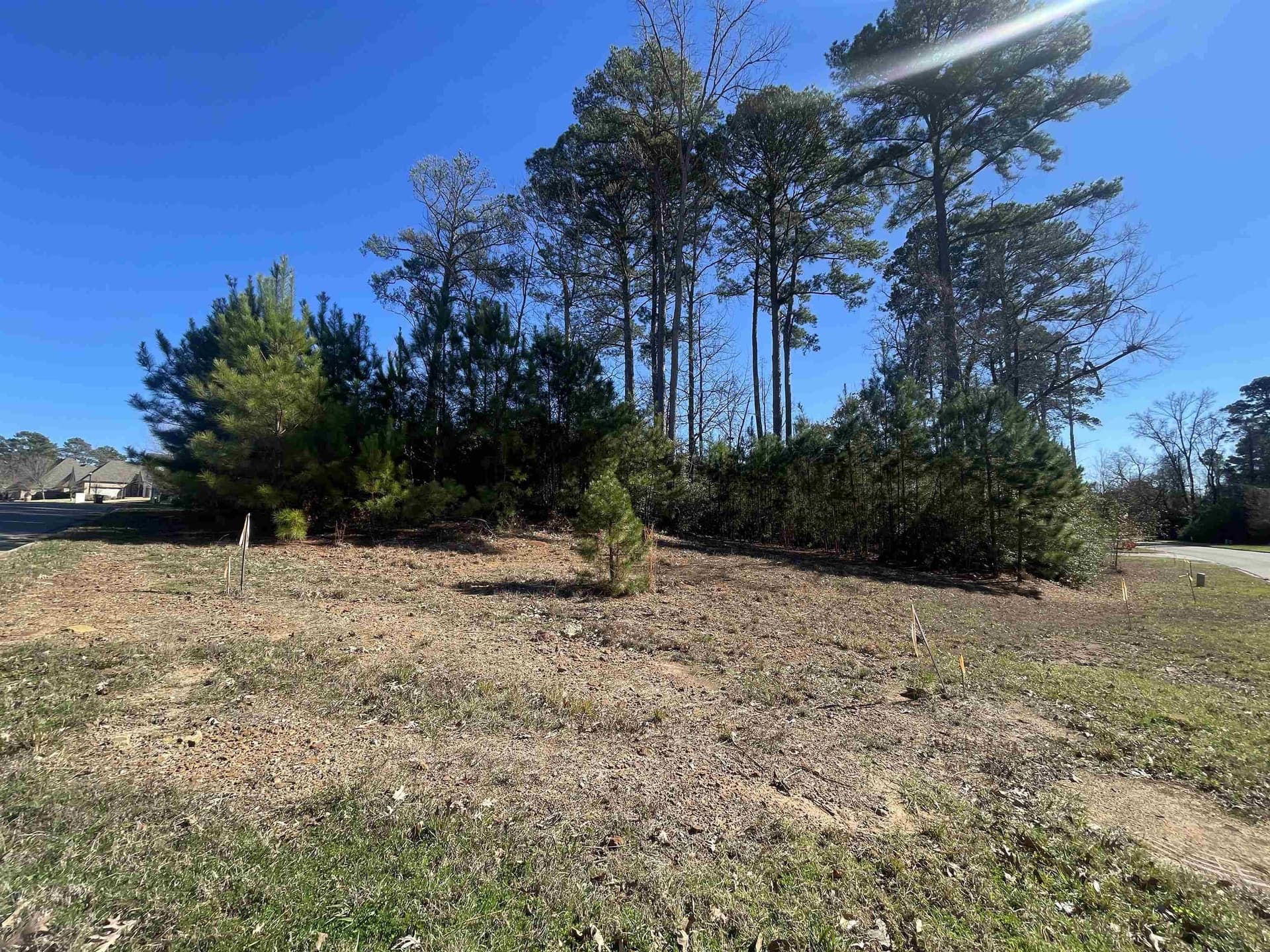 0.25 acres in Gregg County - photo 6