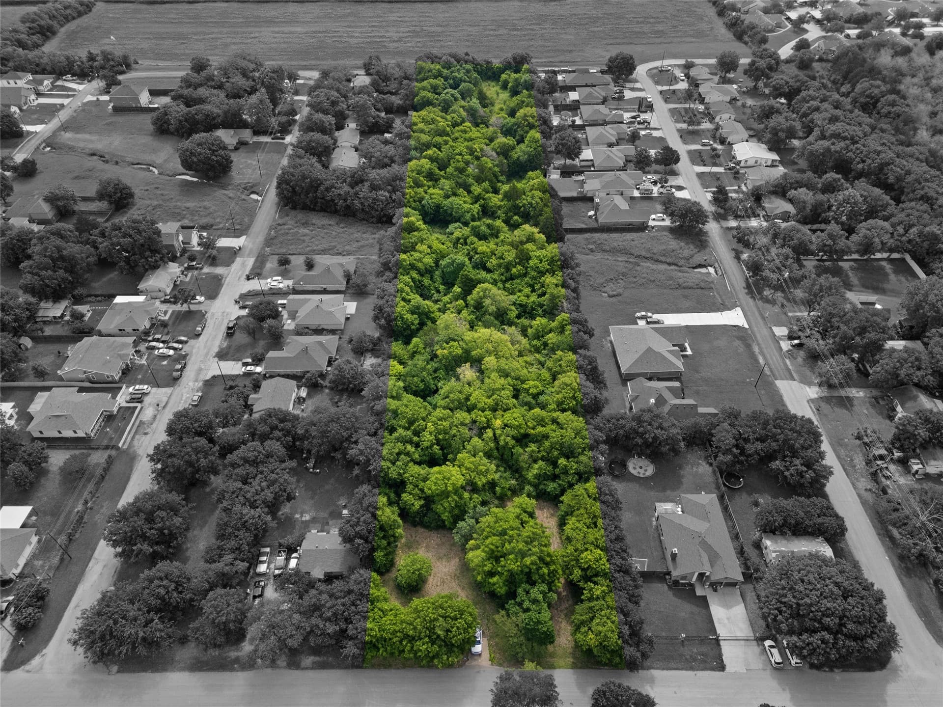 3 acres in Dallas County - photo 9