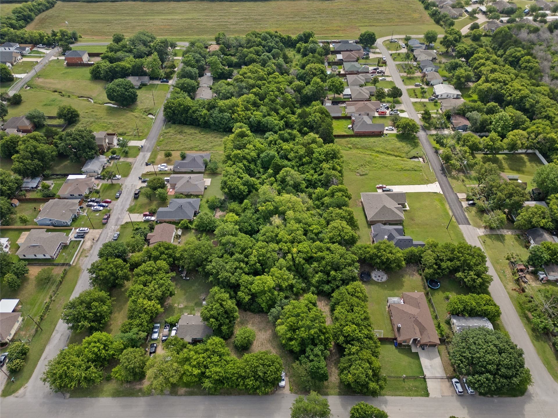 3 acres in Dallas County - photo 5