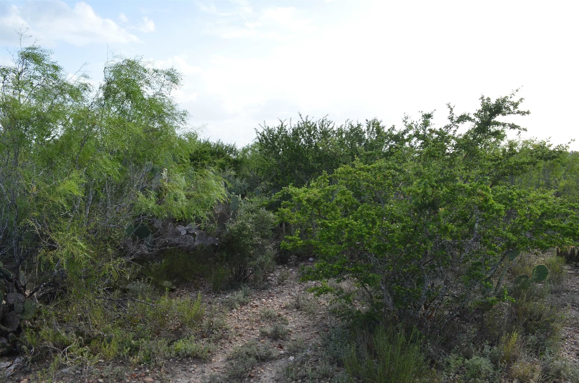 0.97 acres in USA County featured view