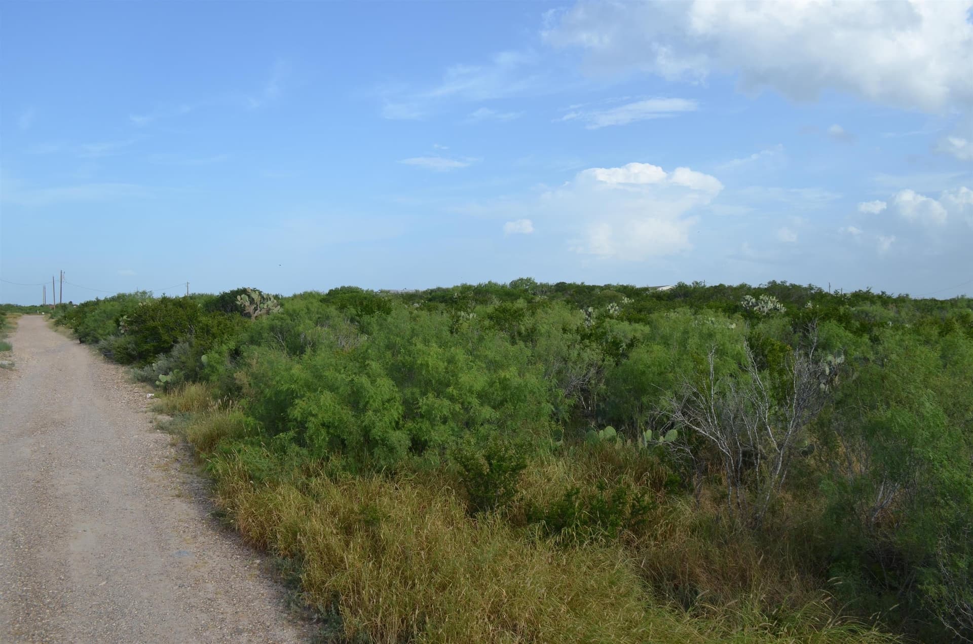 0.97 acres in Webb County - photo 8