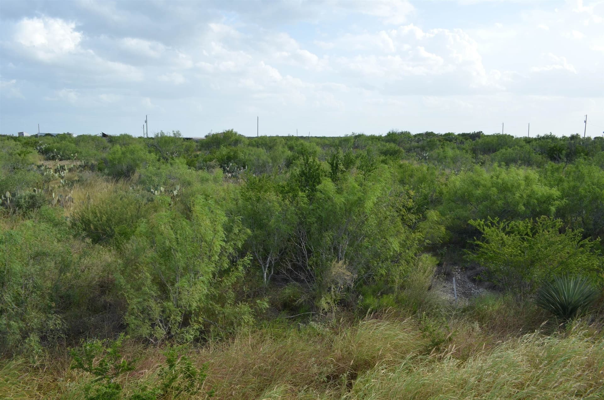 0.97 acres in Webb County - photo 10
