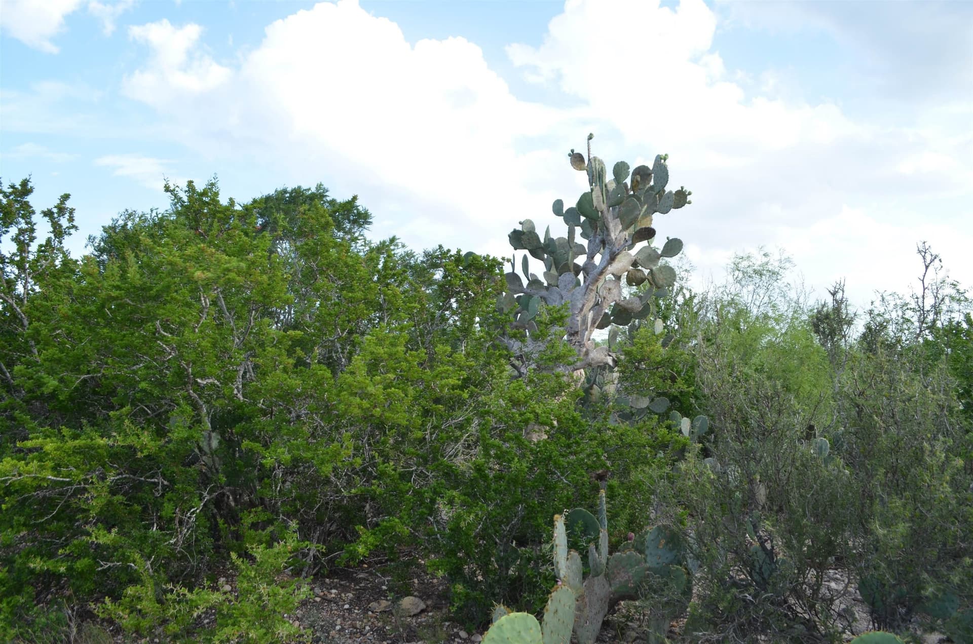 0.97 acres in USA County