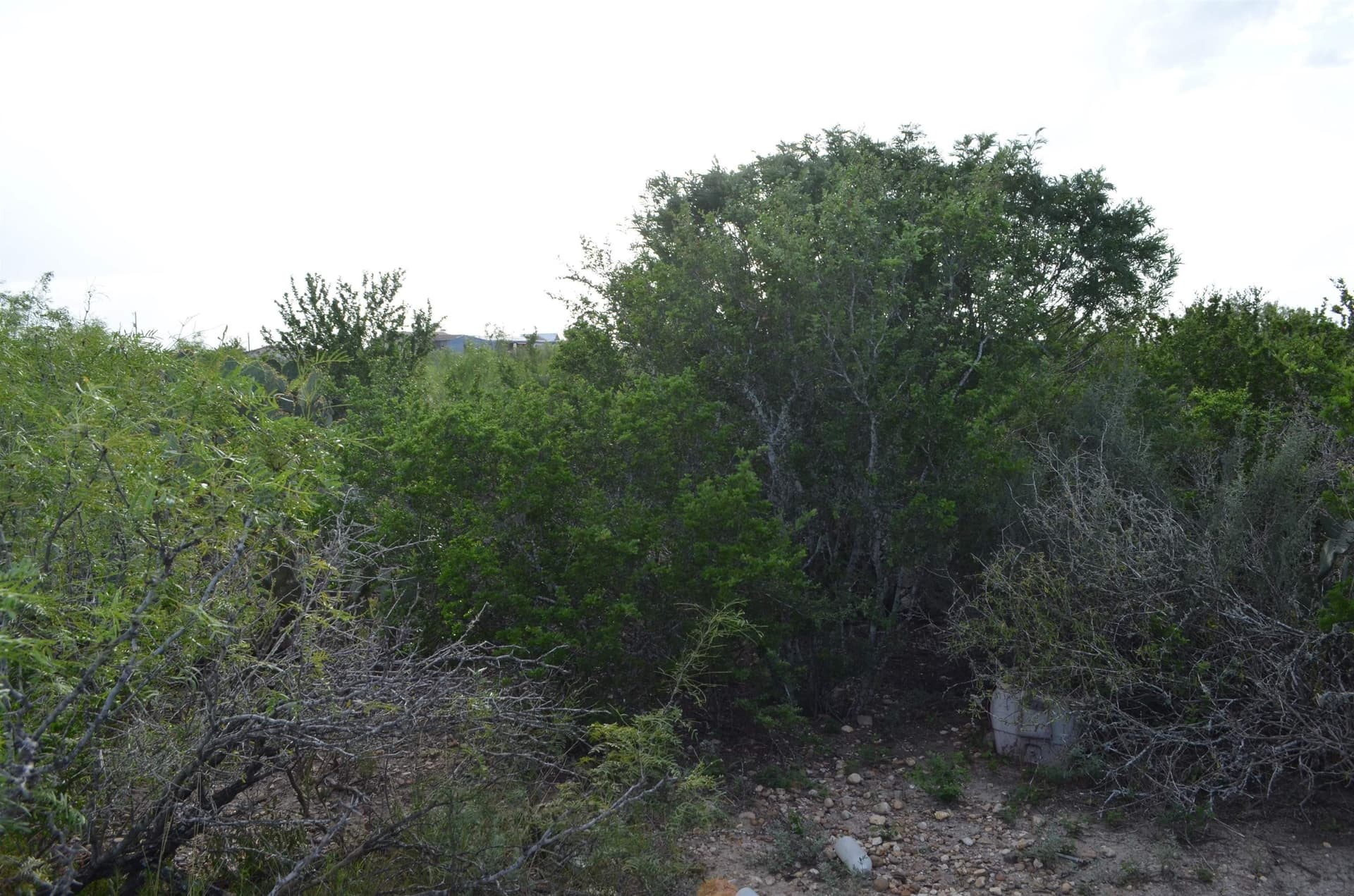 0.97 acres in USA County gallery image 3