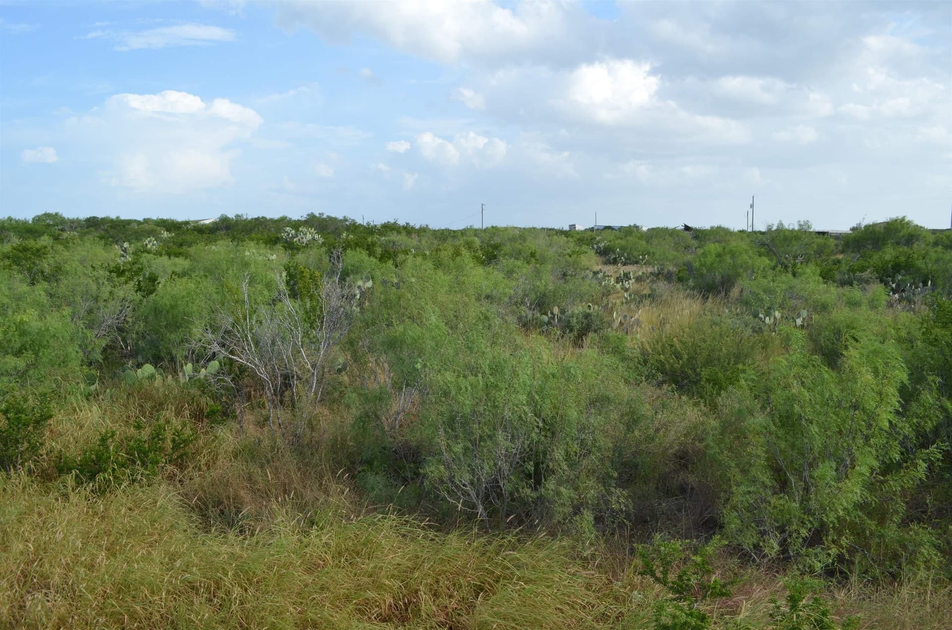0.97 acres in Webb County - photo 9