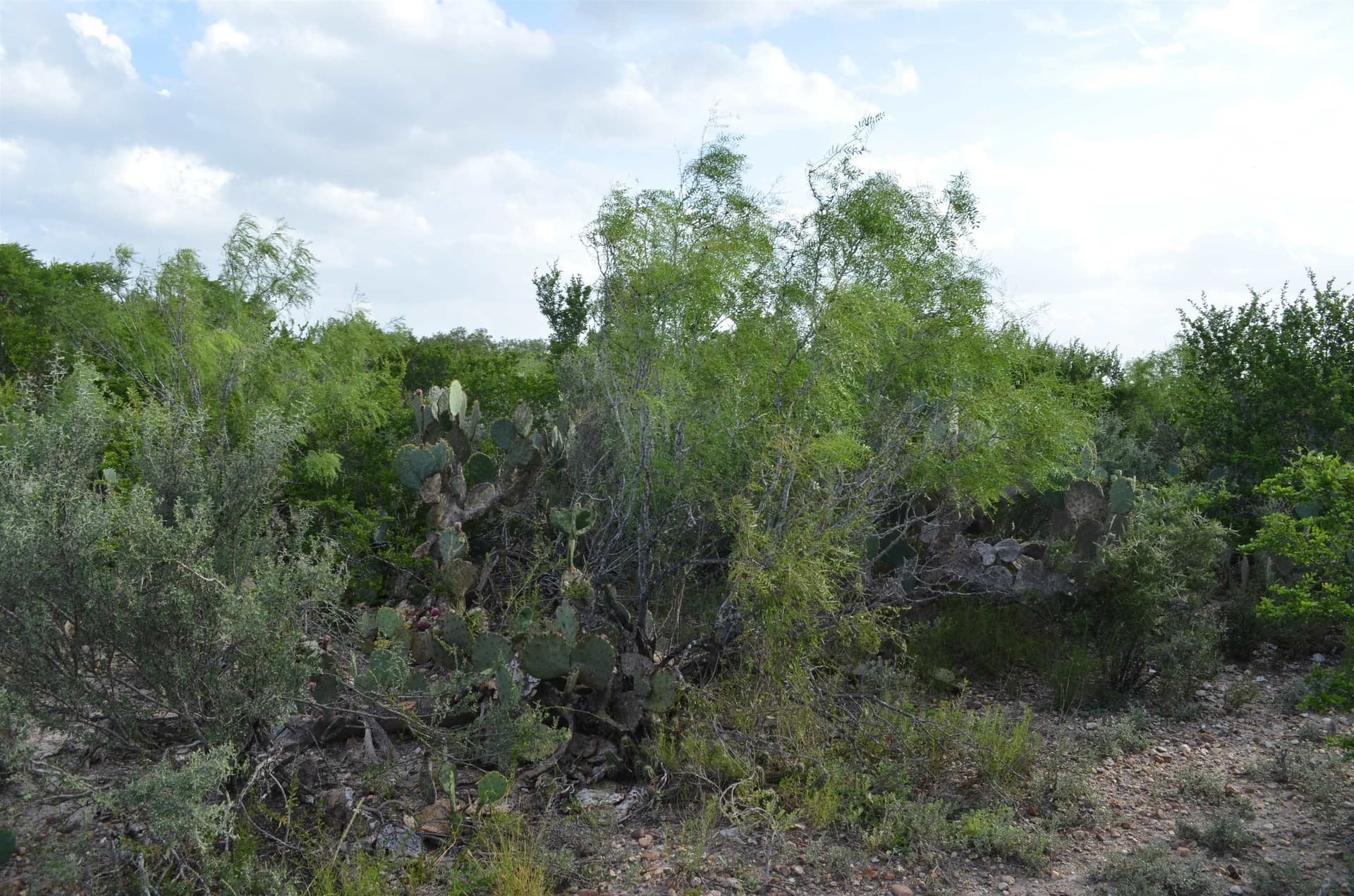 0.97 acres in USA County gallery image 4