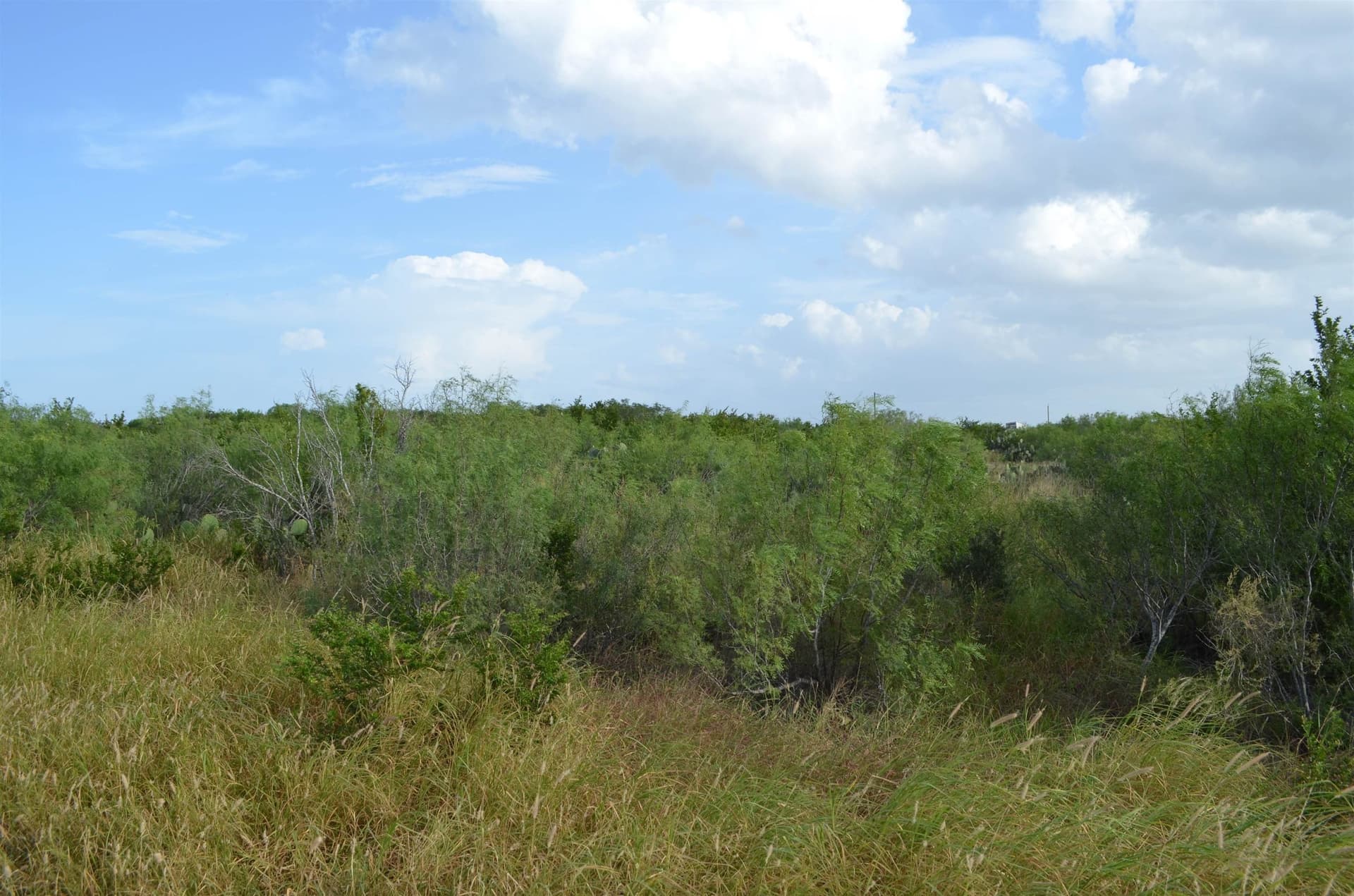 0.97 acres in Webb County - photo 7