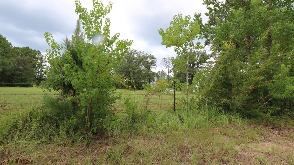 3.89 acres in Texas County - photo 6