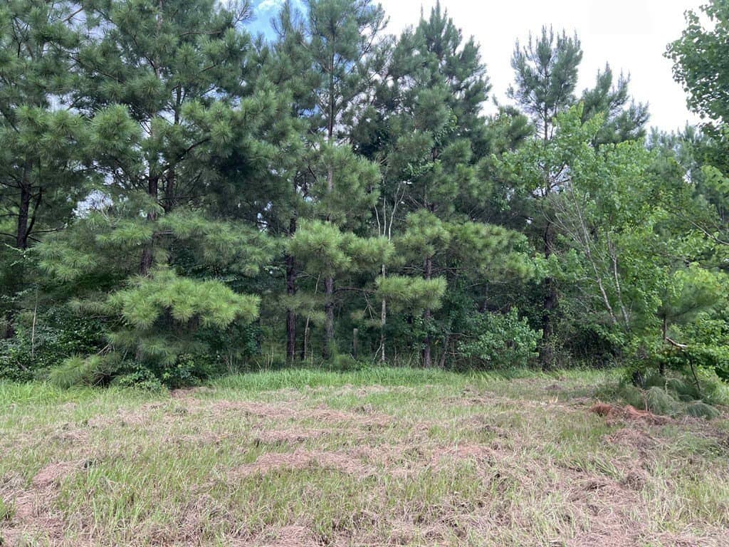 3.89 acres in Texas County featured view