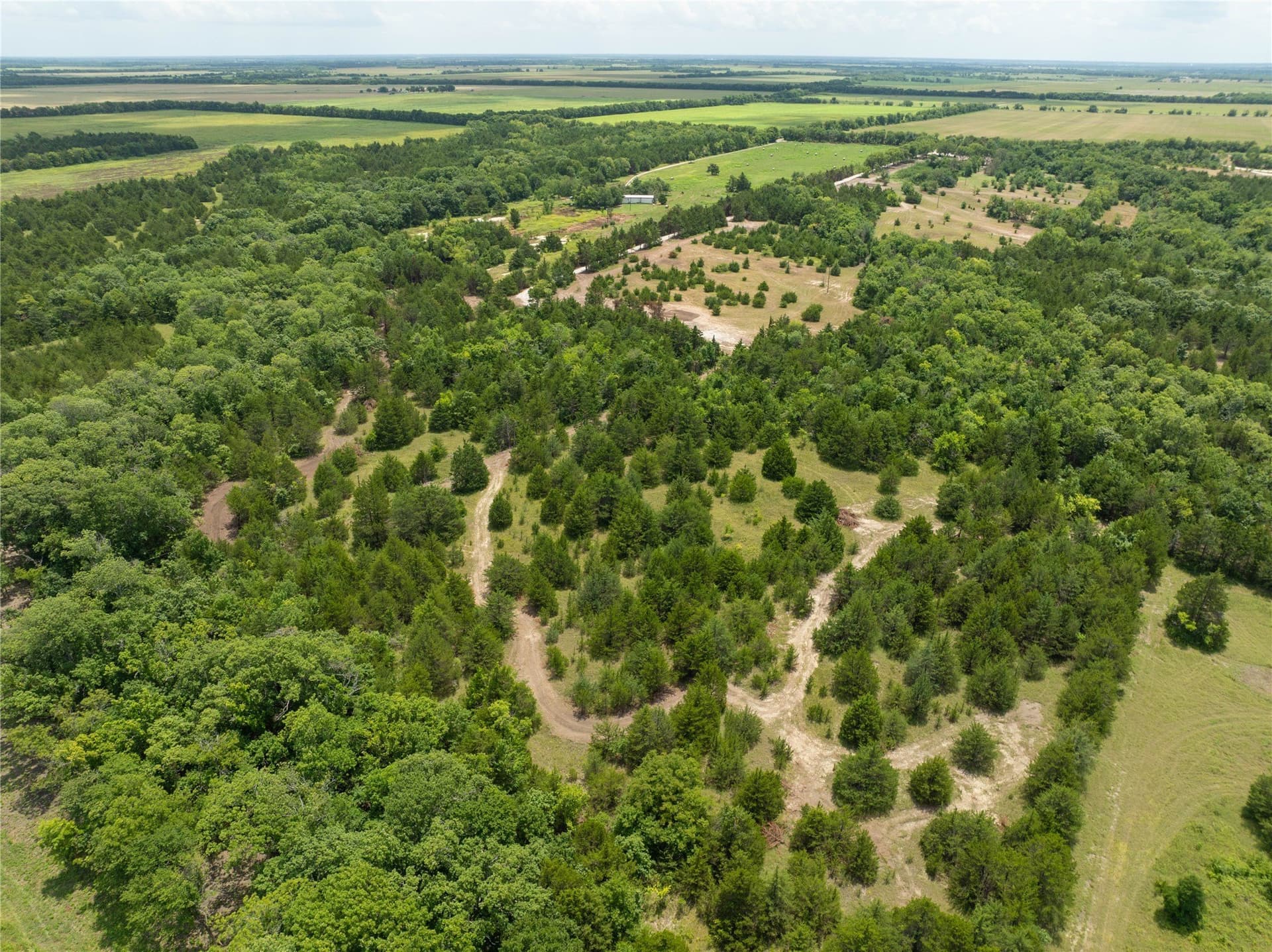 5.75 acres in Fannin County gallery image 4