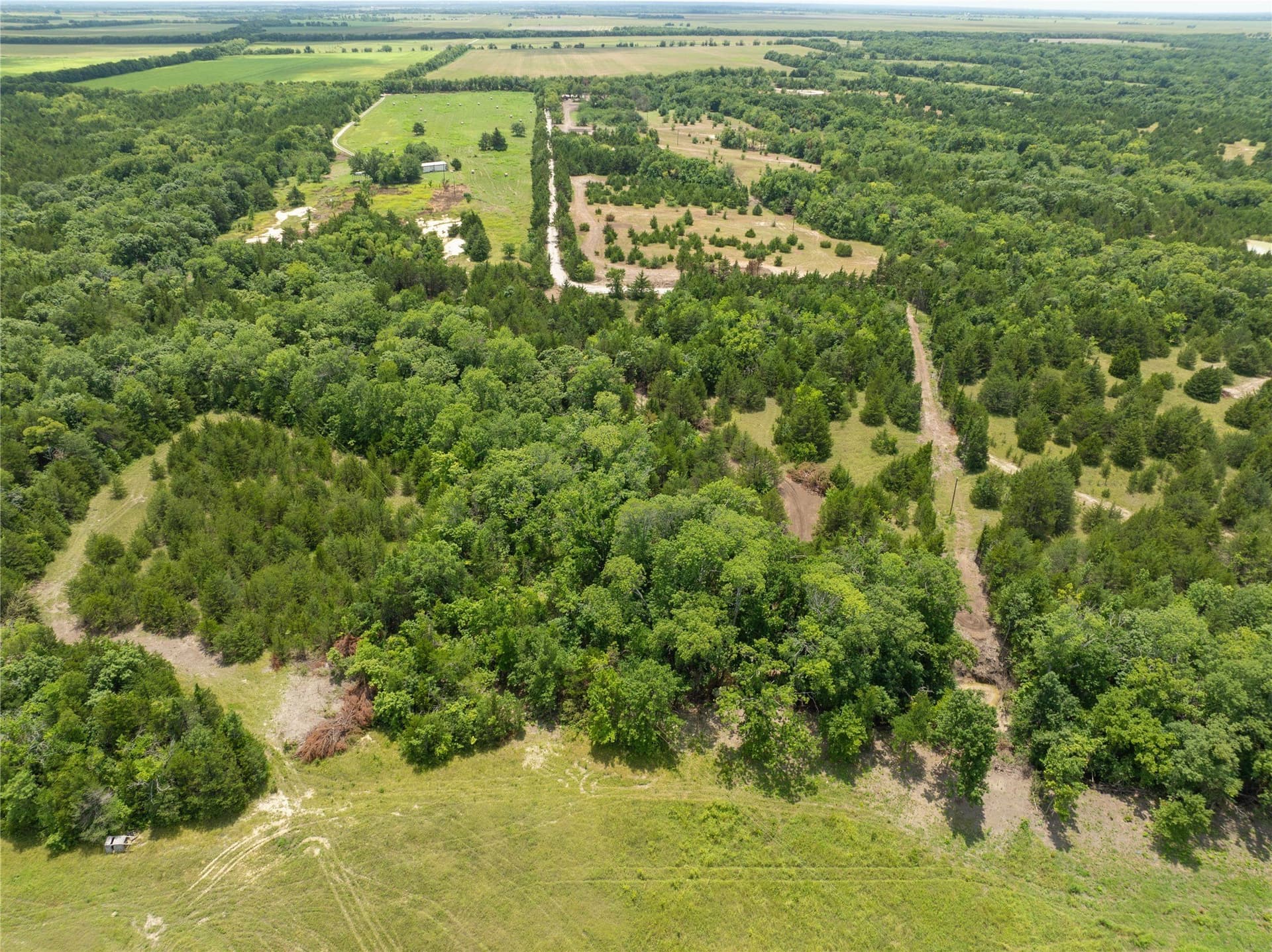 5.75 acres in Fannin County gallery image 2