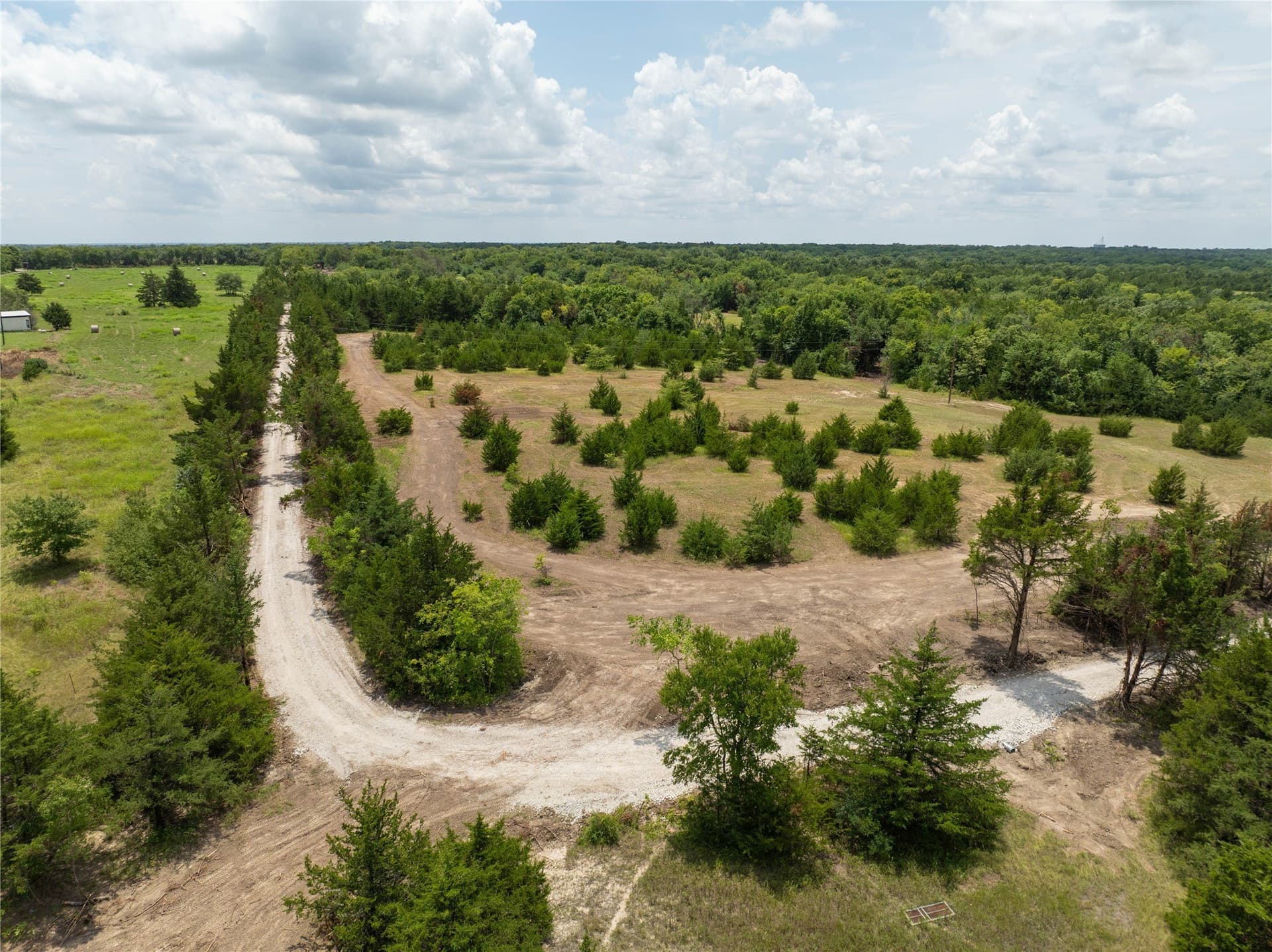 5.75 acres in Fannin County gallery image 3