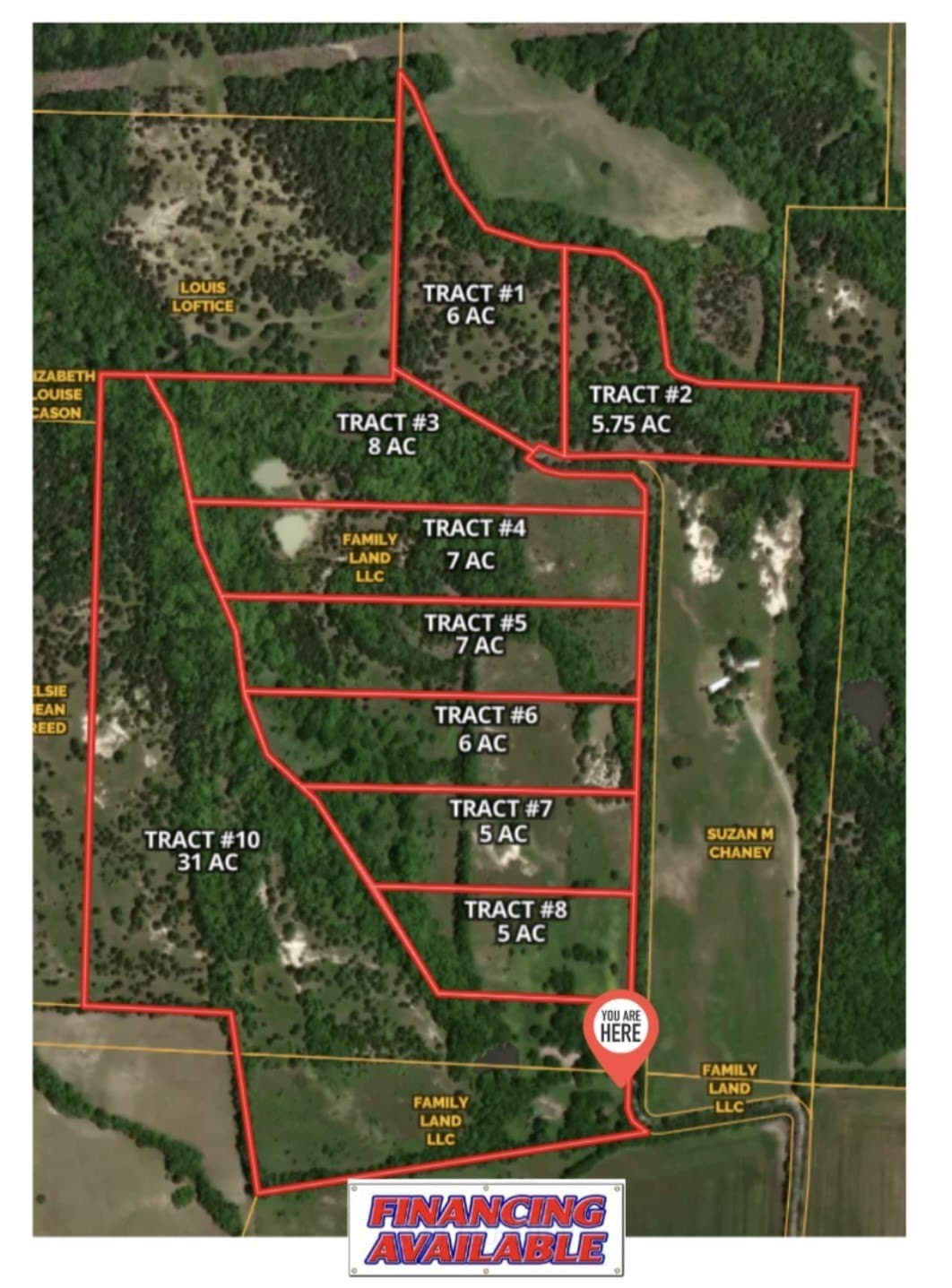 5.75 acres in Fannin County - photo 6