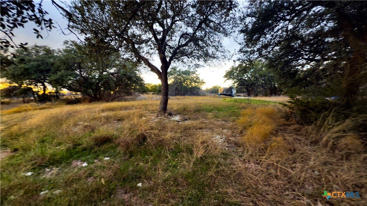 10.09 acres in Bell County gallery image 4