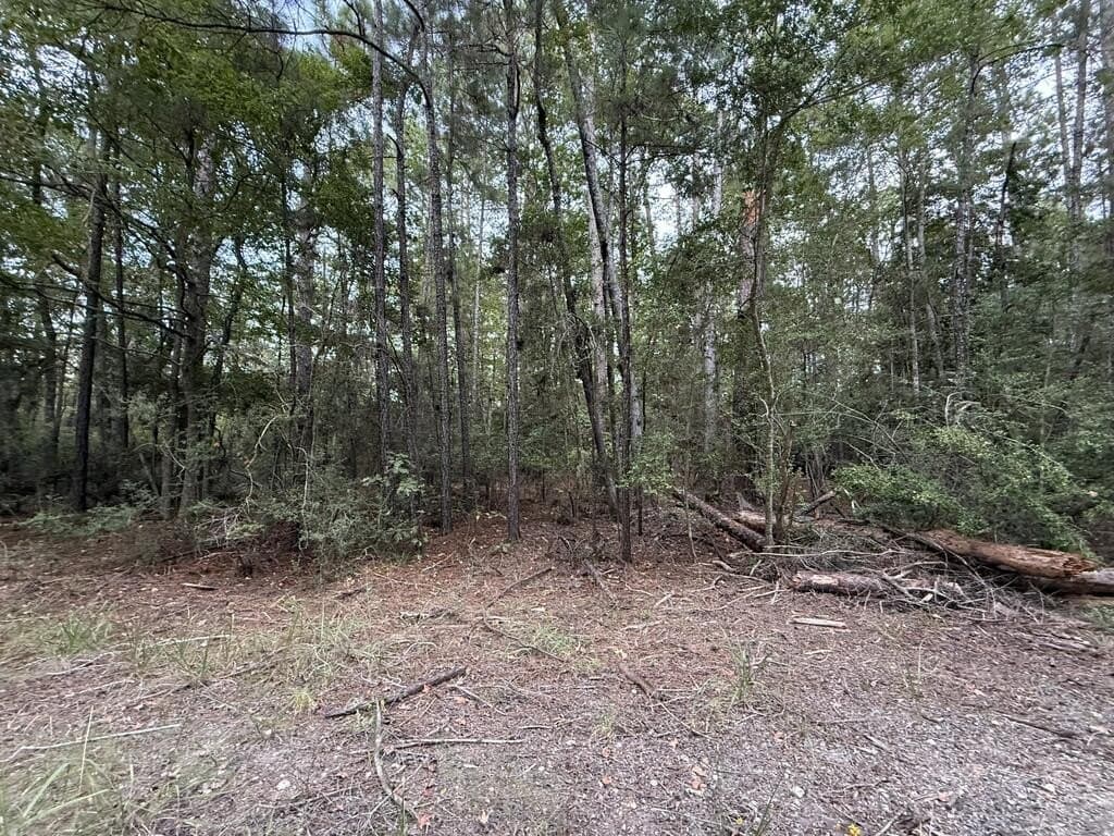 0.22 acres in Texas County - photo 4