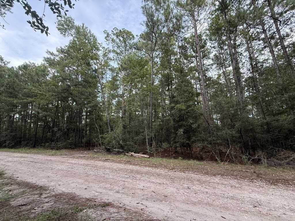 0.22 acres in Texas County - photo 2