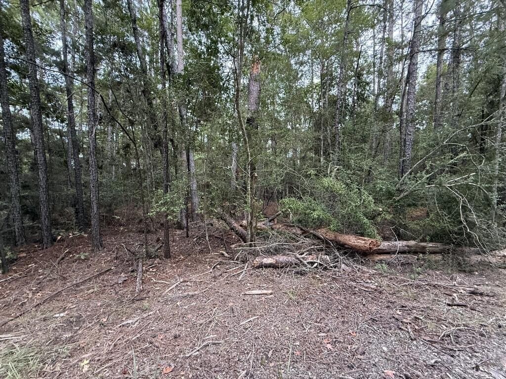 0.22 acres in Texas County - photo 3