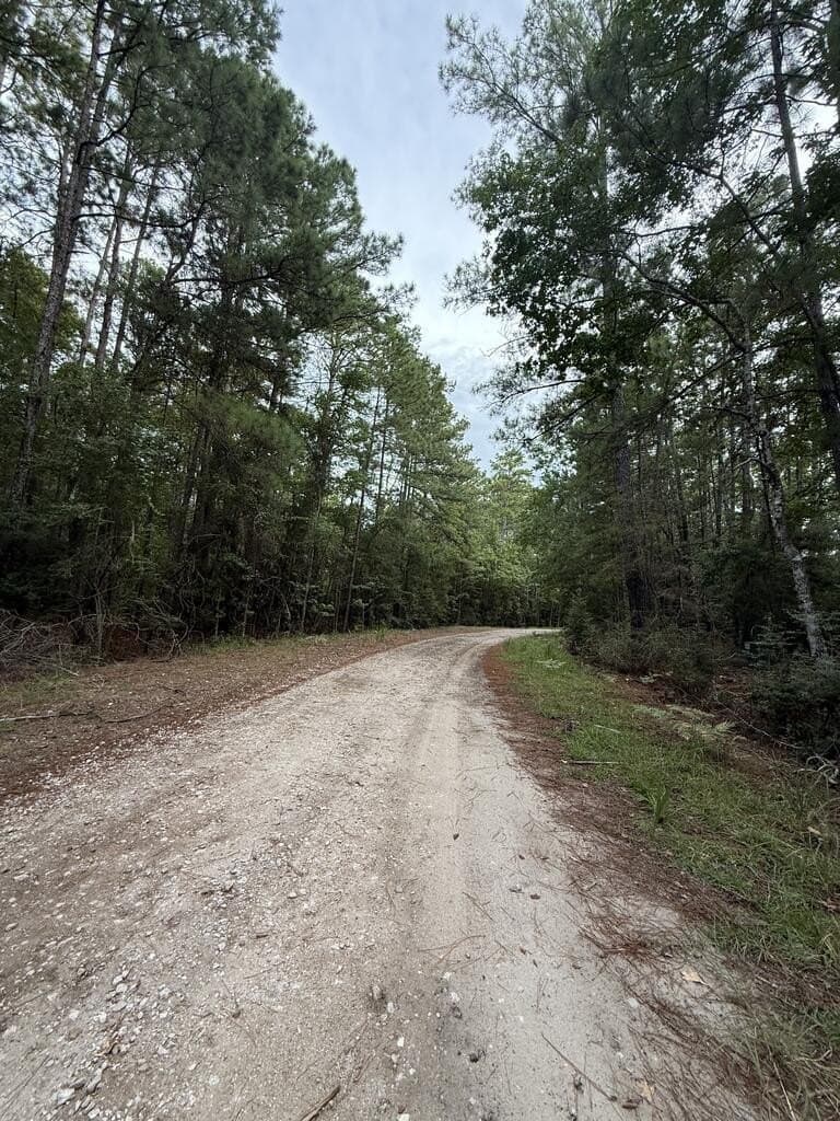 0.22 acres in Texas County - photo 6