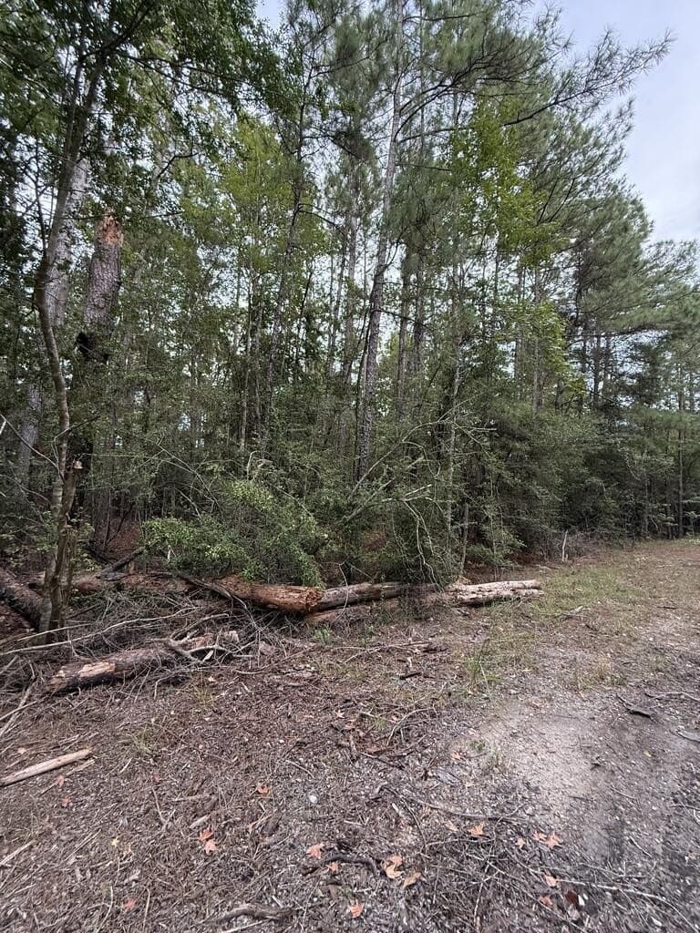 0.22 acres in Texas County - photo 7