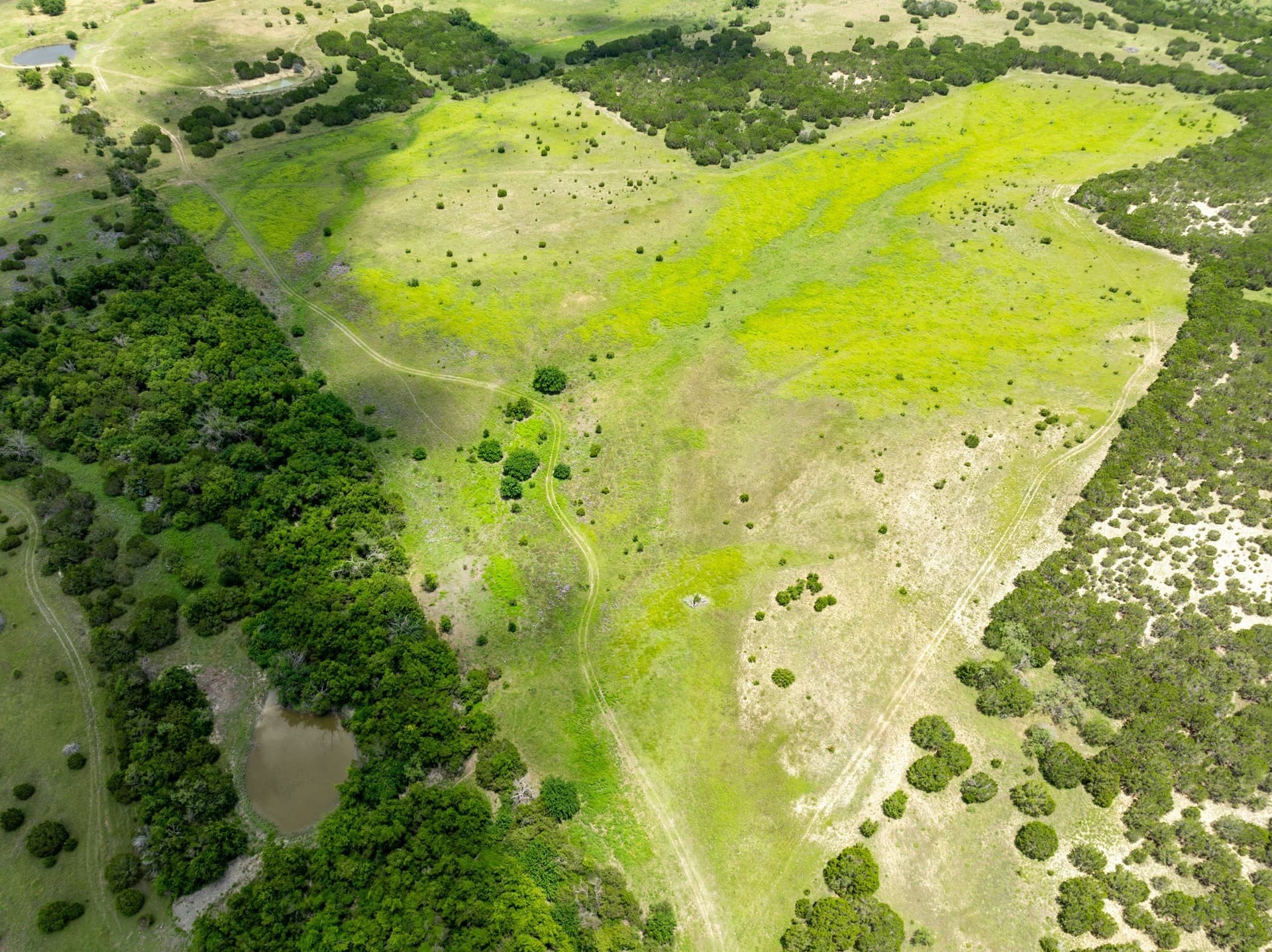 161 acres in Hamilton County - photo 14