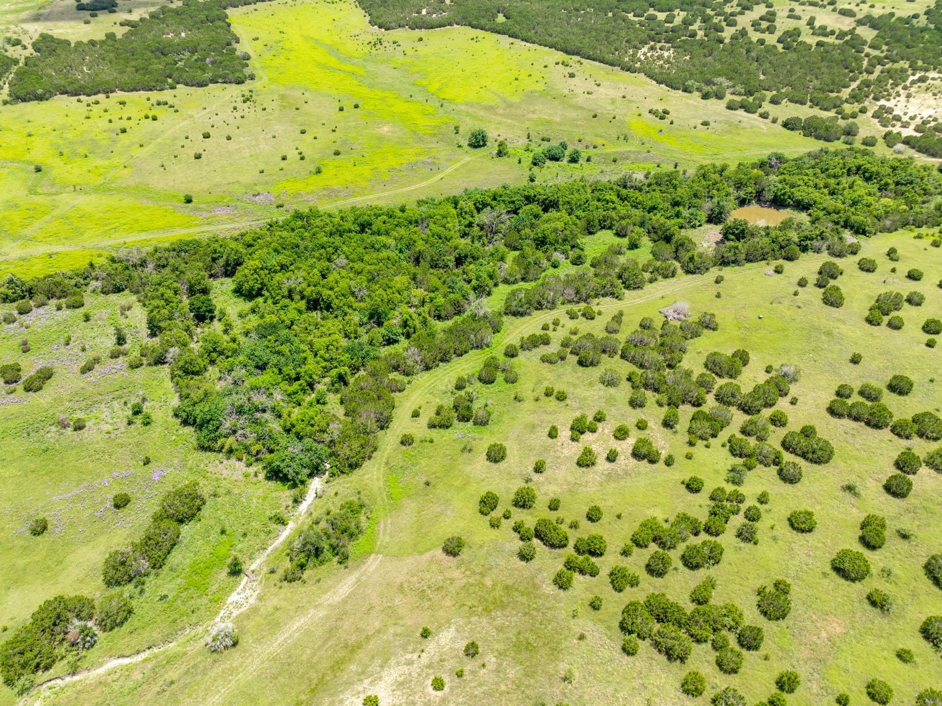 161 acres in Hamilton County - photo 23