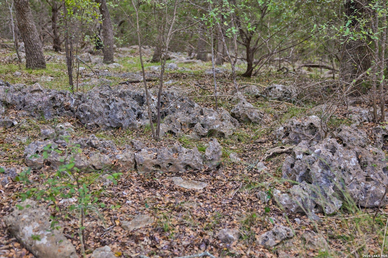 15.96 acres in Comal County featured view